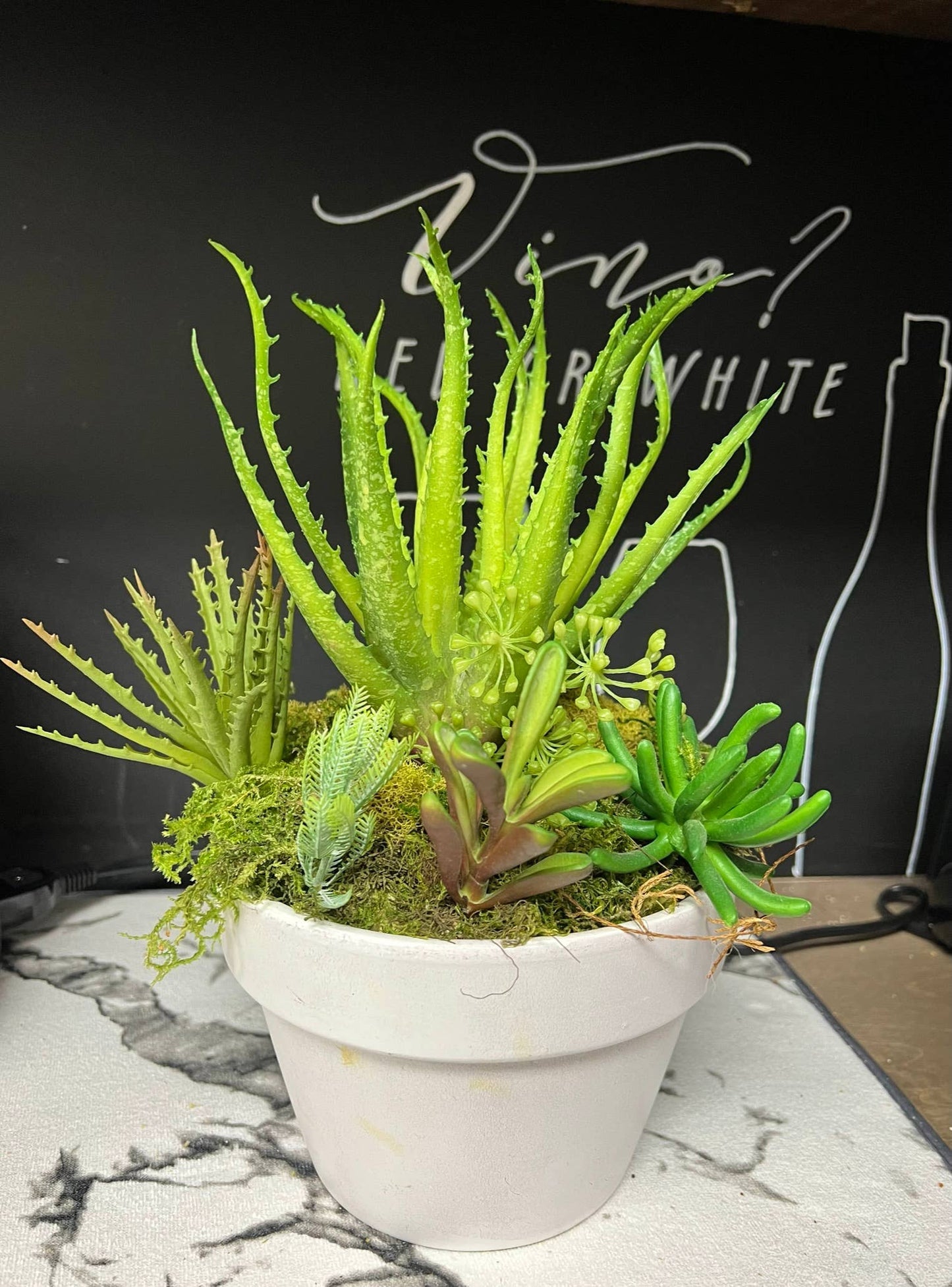 High-end-Ultra realist Real Touch Succulents Aloe-10"