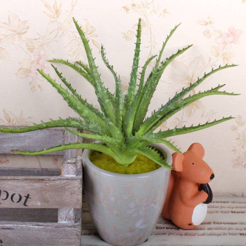 High-end-Ultra realist Real Touch Succulents Aloe-10"