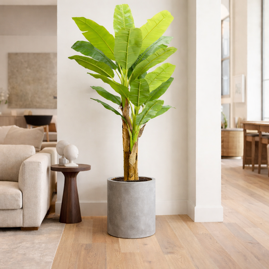 Large Artificial Banana Tree-PE Leaves Lifelike Trunk