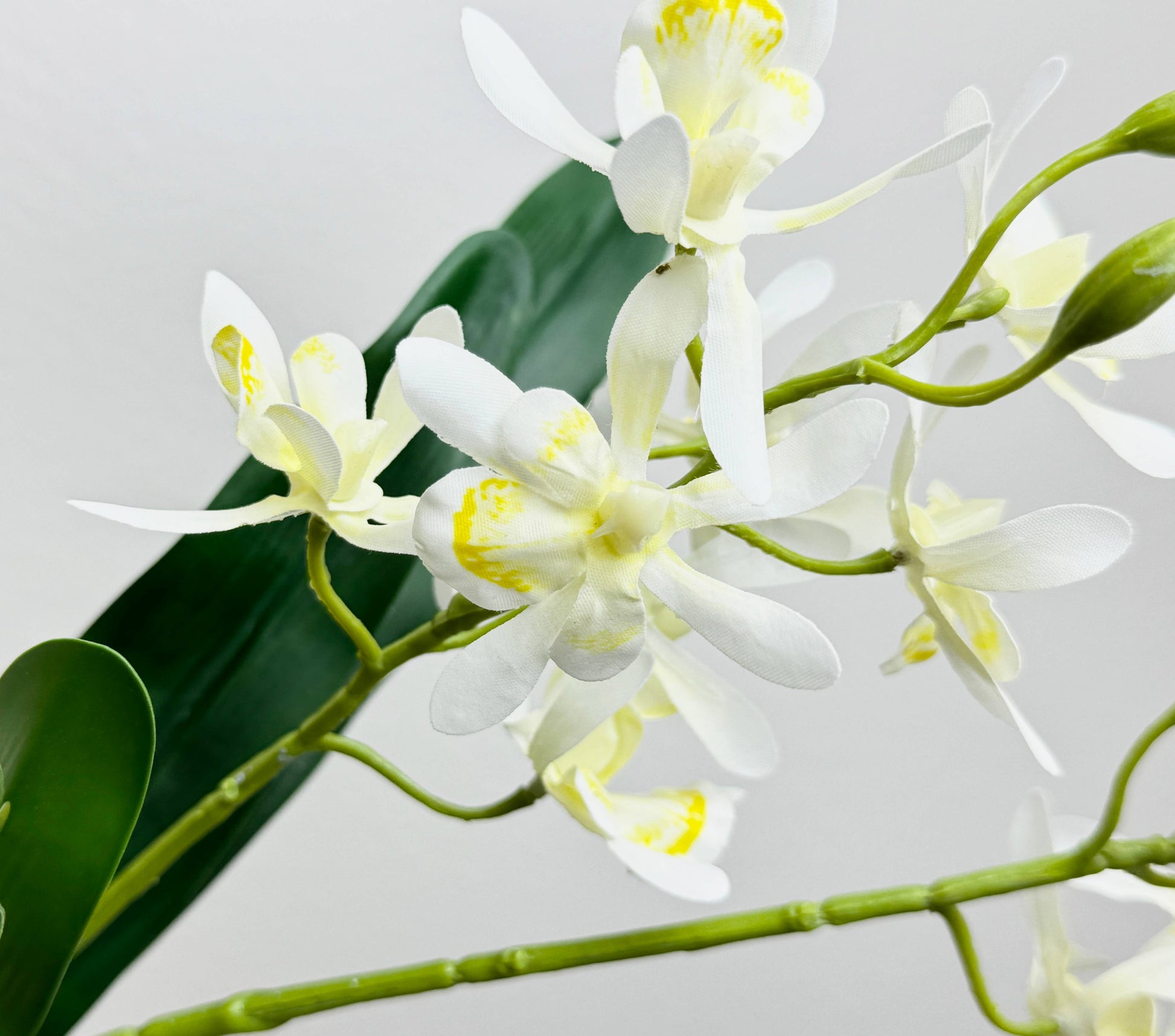 17"Artificial Arachnis Orchid Real Touch Leaves