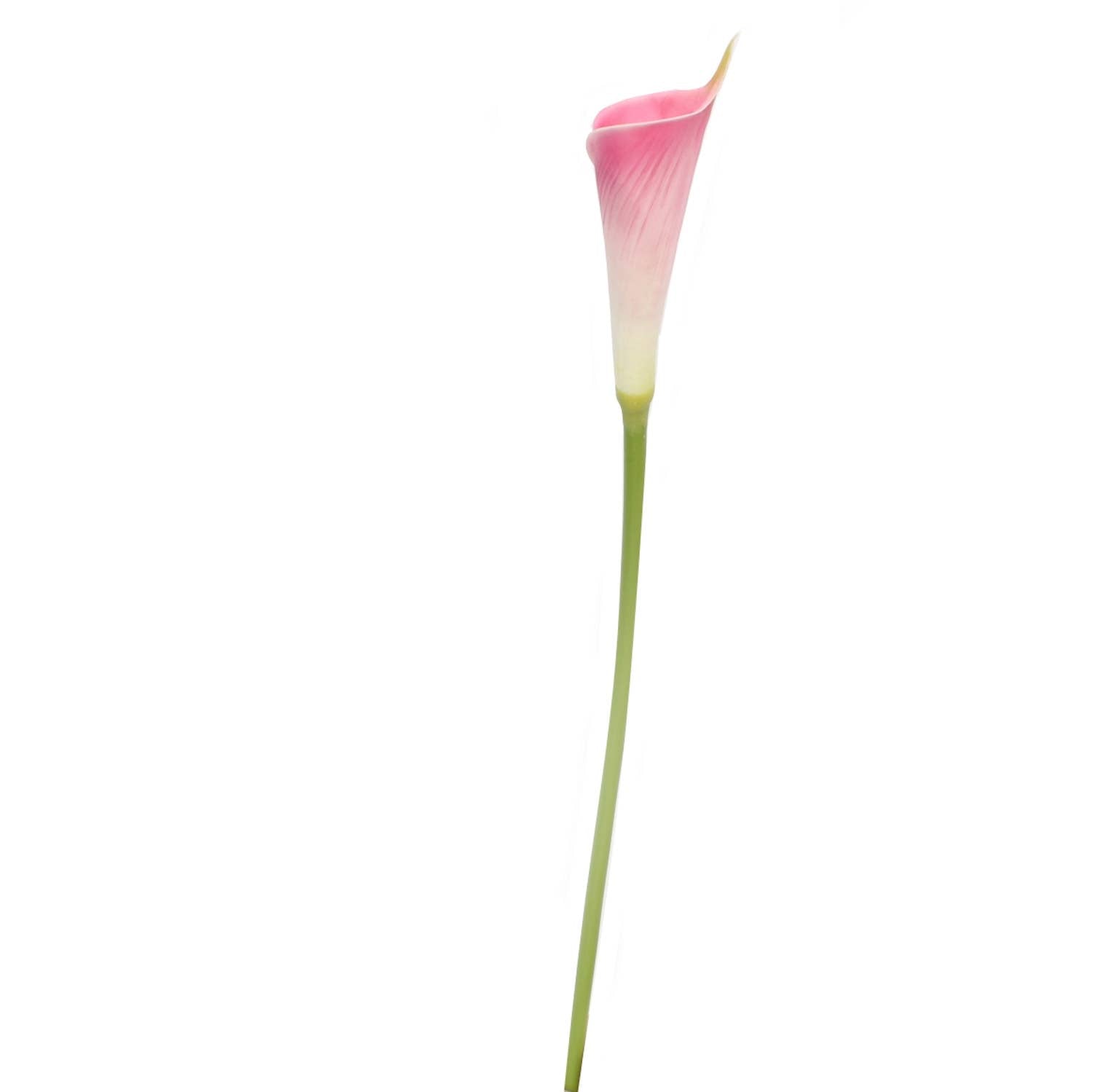 24"Long Premium Lifelike Real Touch Artificial Calla lily