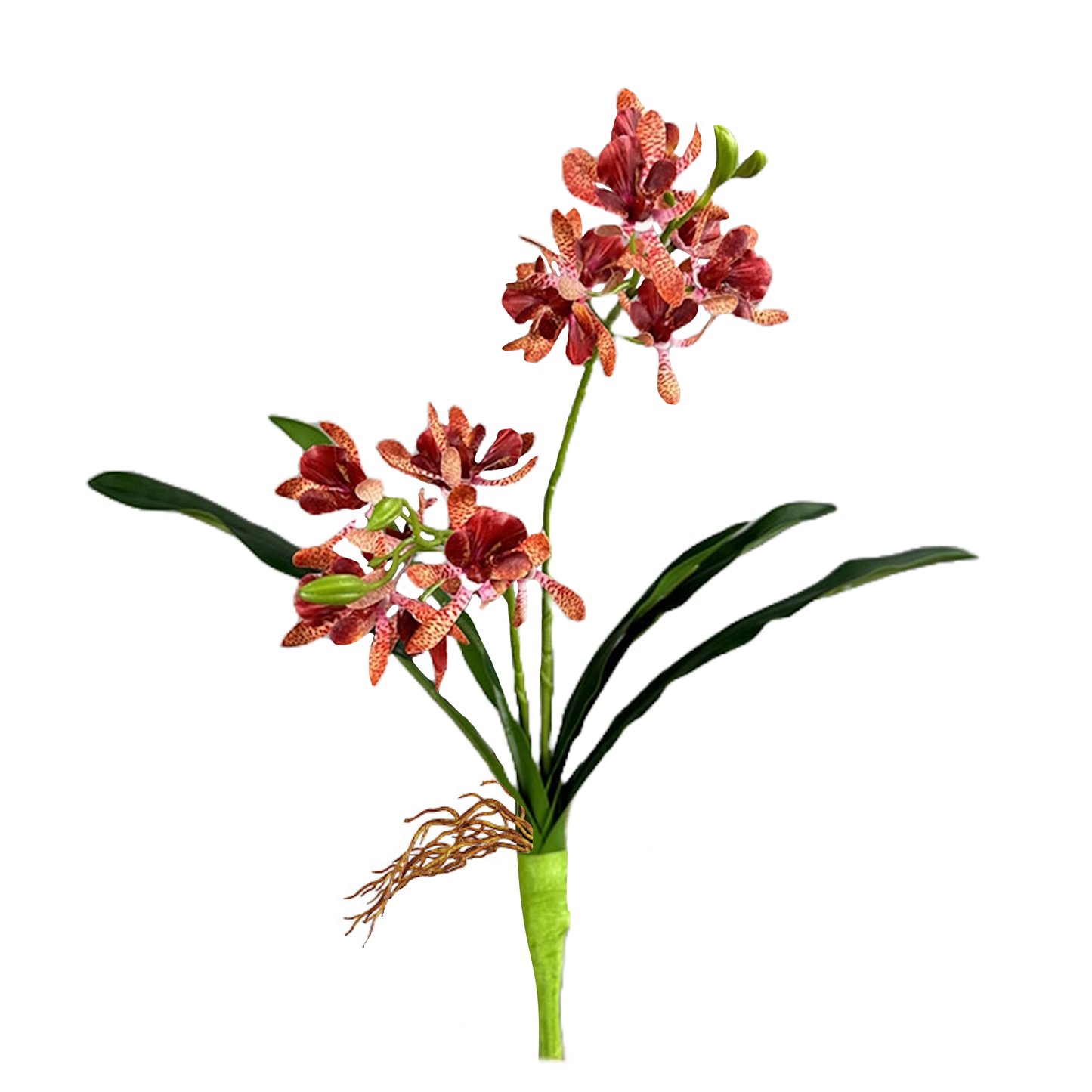 17"Artificial Arachnis Orchid Real Touch Leaves