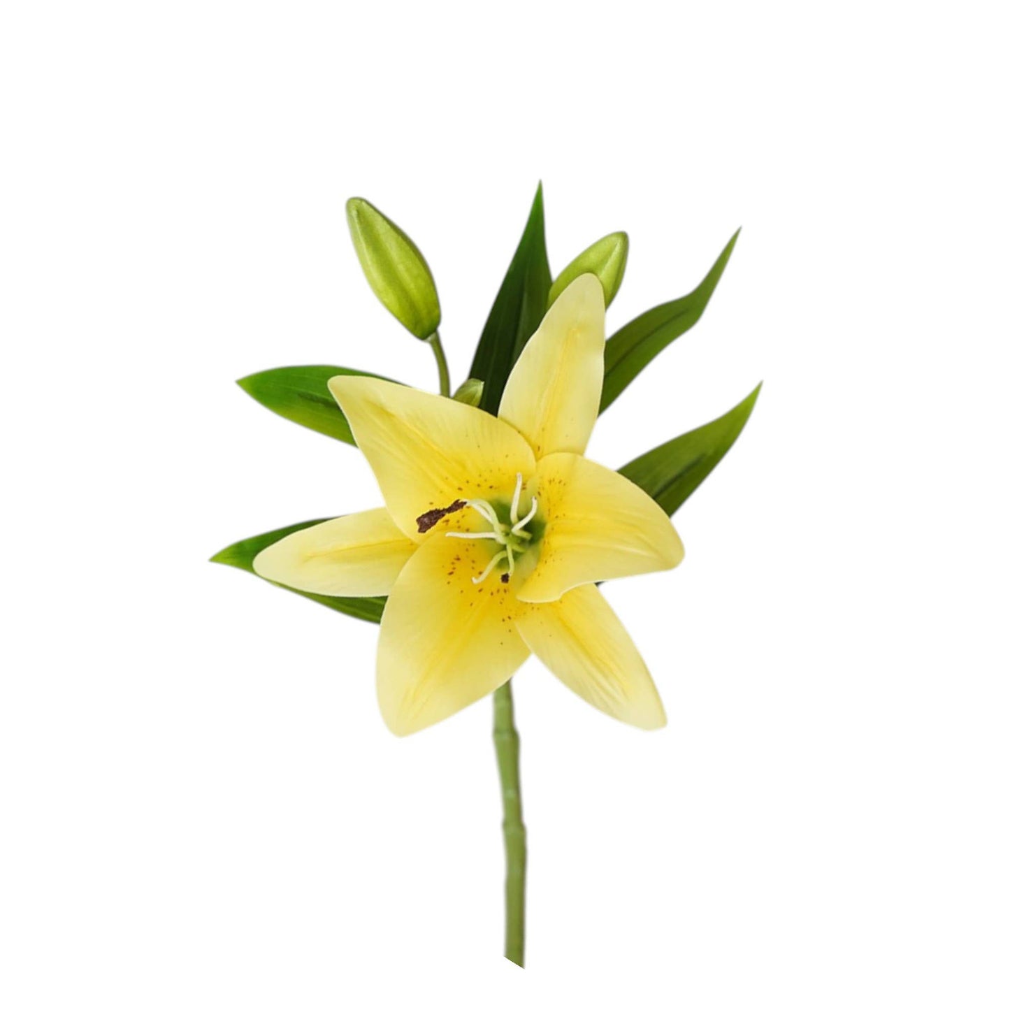 15" Real Touch Artificial Lily Stem – | PVC Material