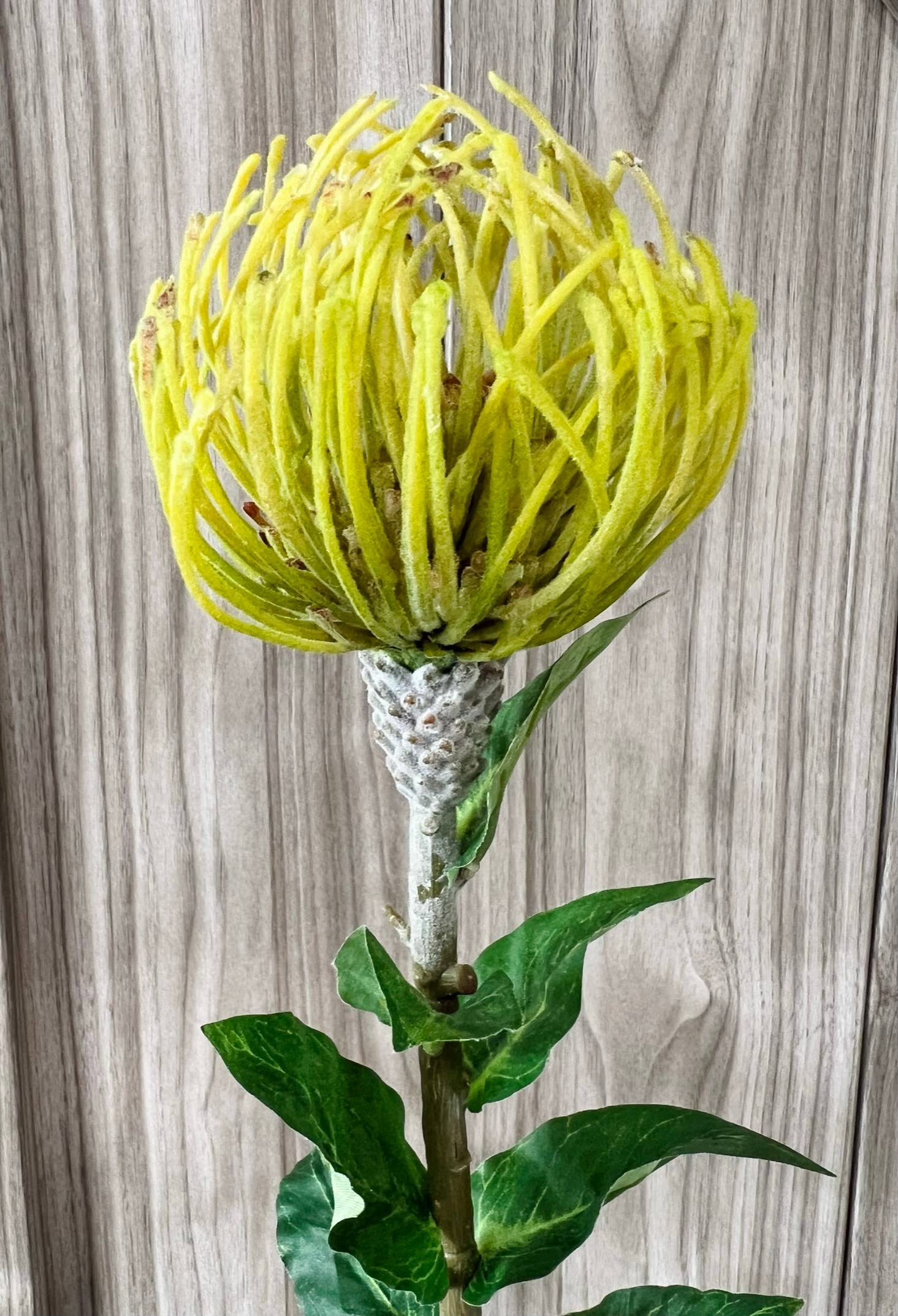 29"Large Artificial Saffron Pincushion Needle Protea