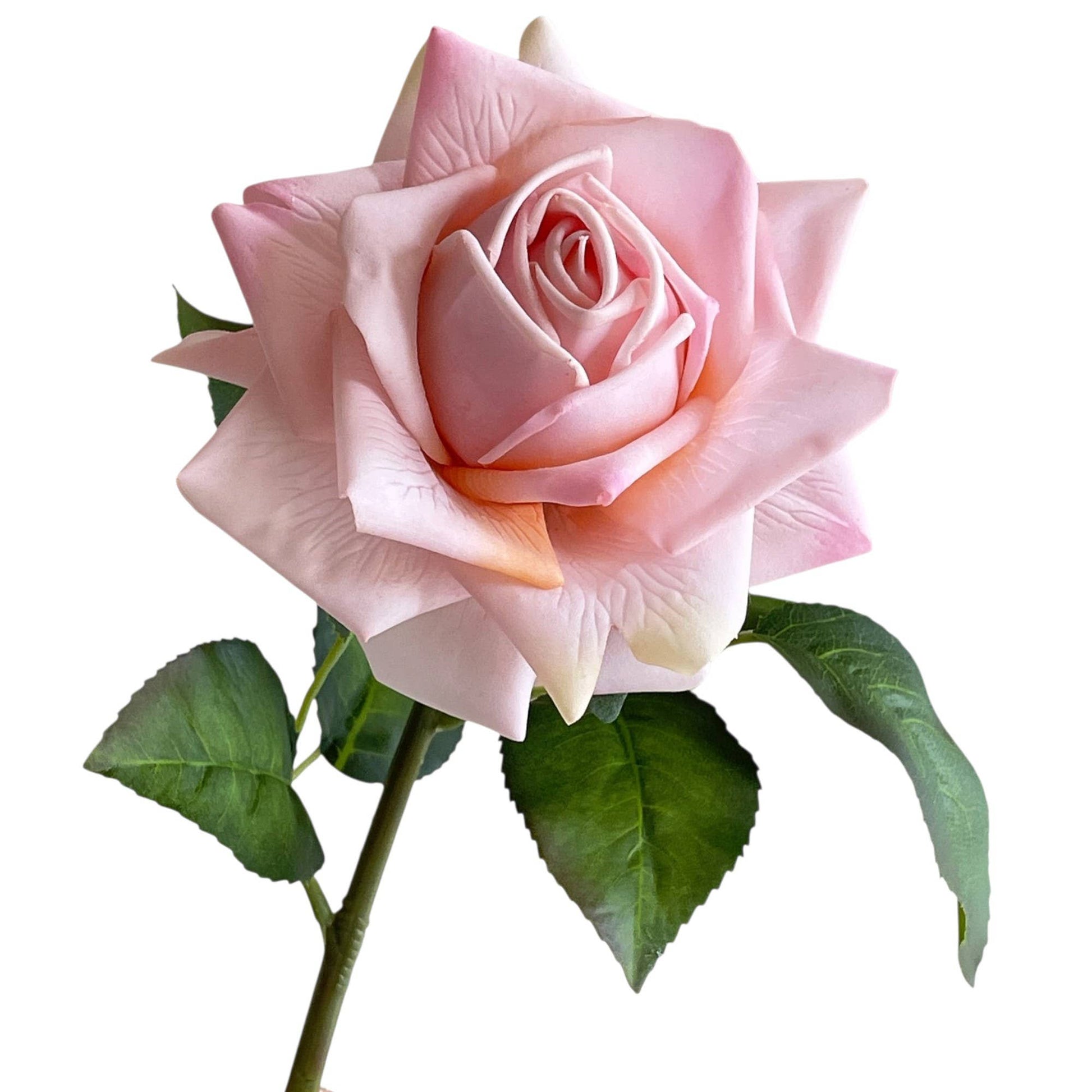 19"-Premium Moisturizing Coating Real Touch Rose