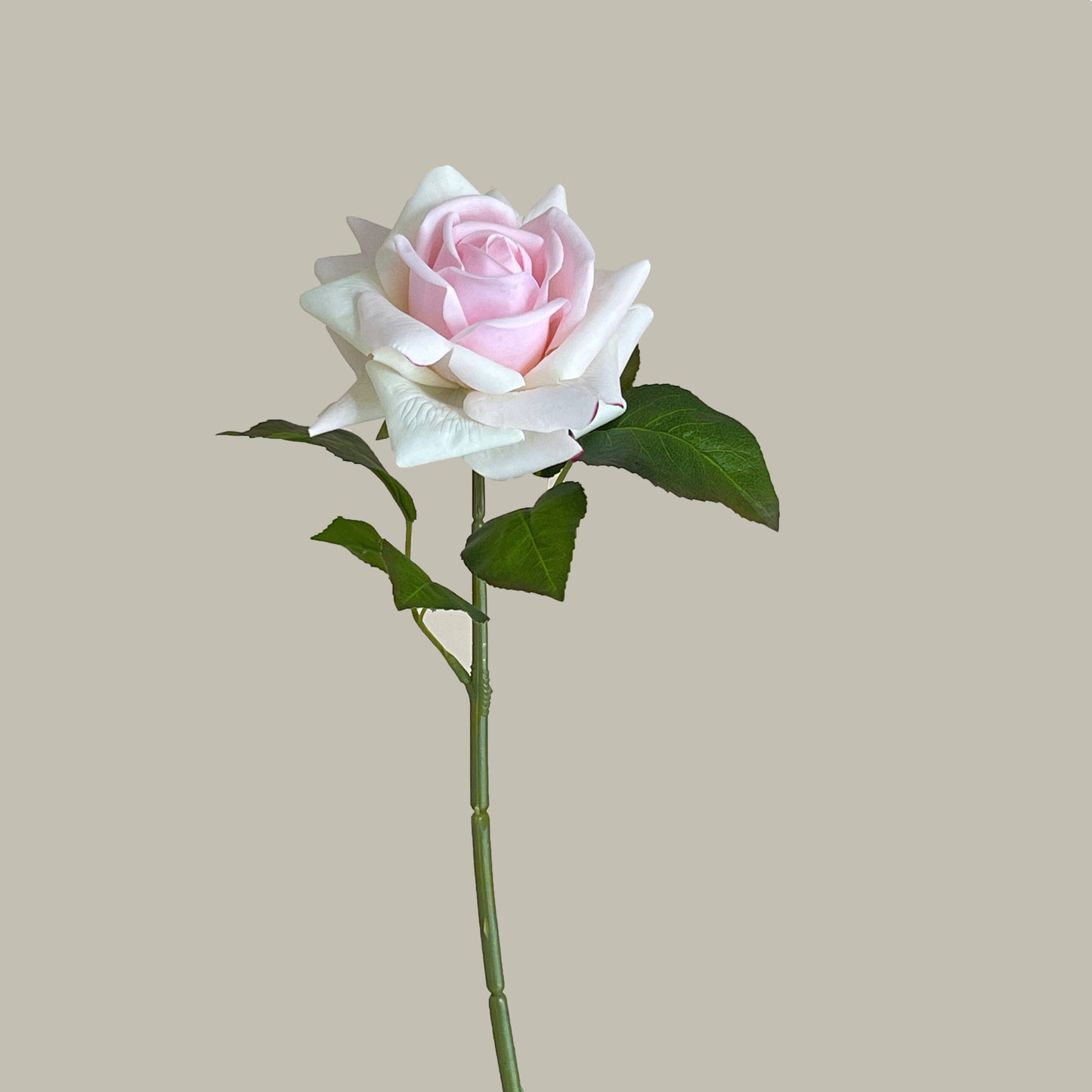 17"Moisturized coating Real Touch Rose