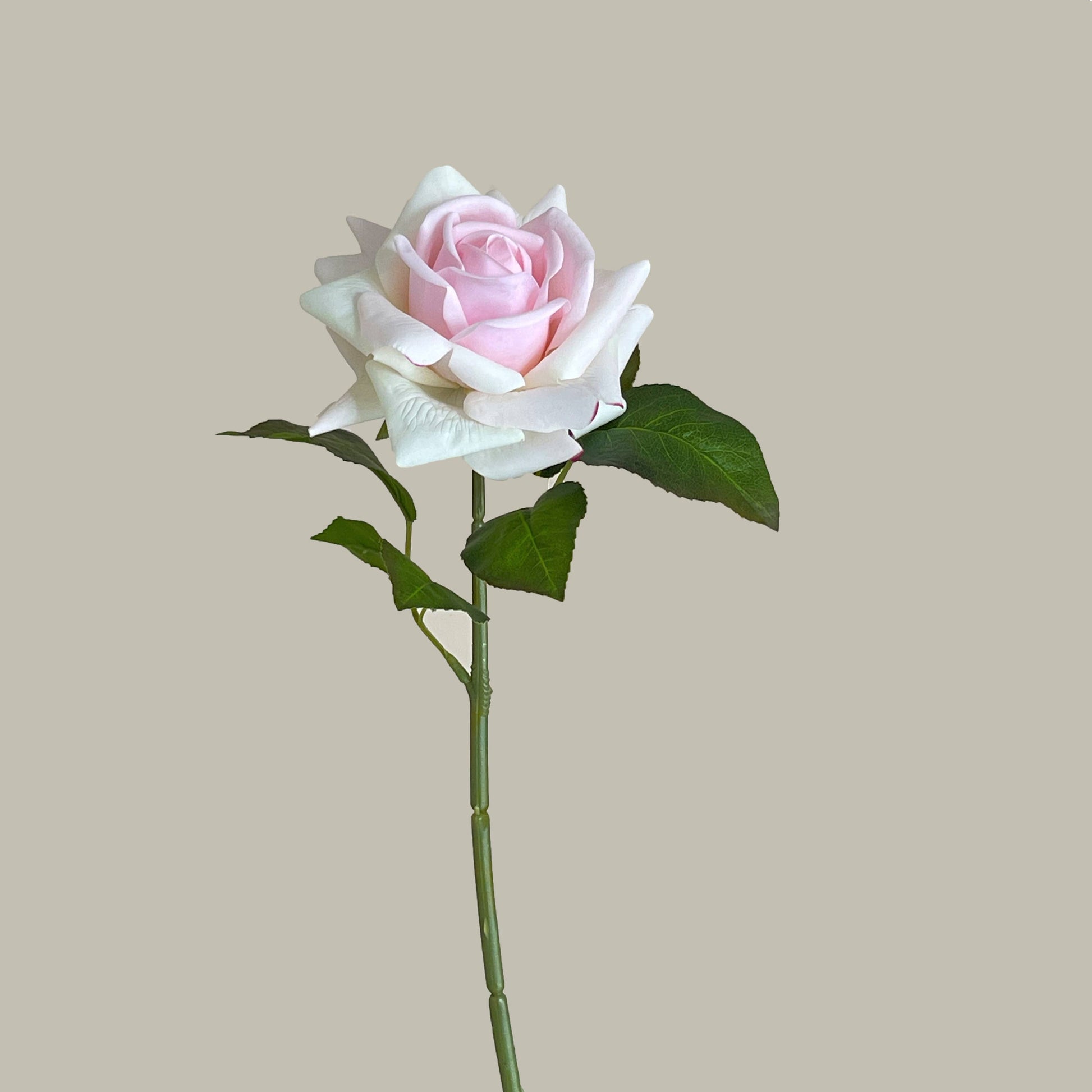 17"Moisturized coating Real Touch Rose