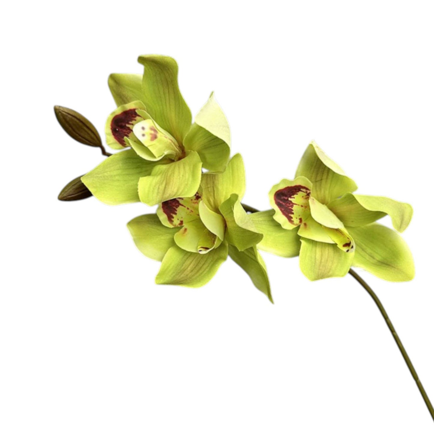 28"Real Touch Cymbidium Orchid Stem-Designer’s Pick