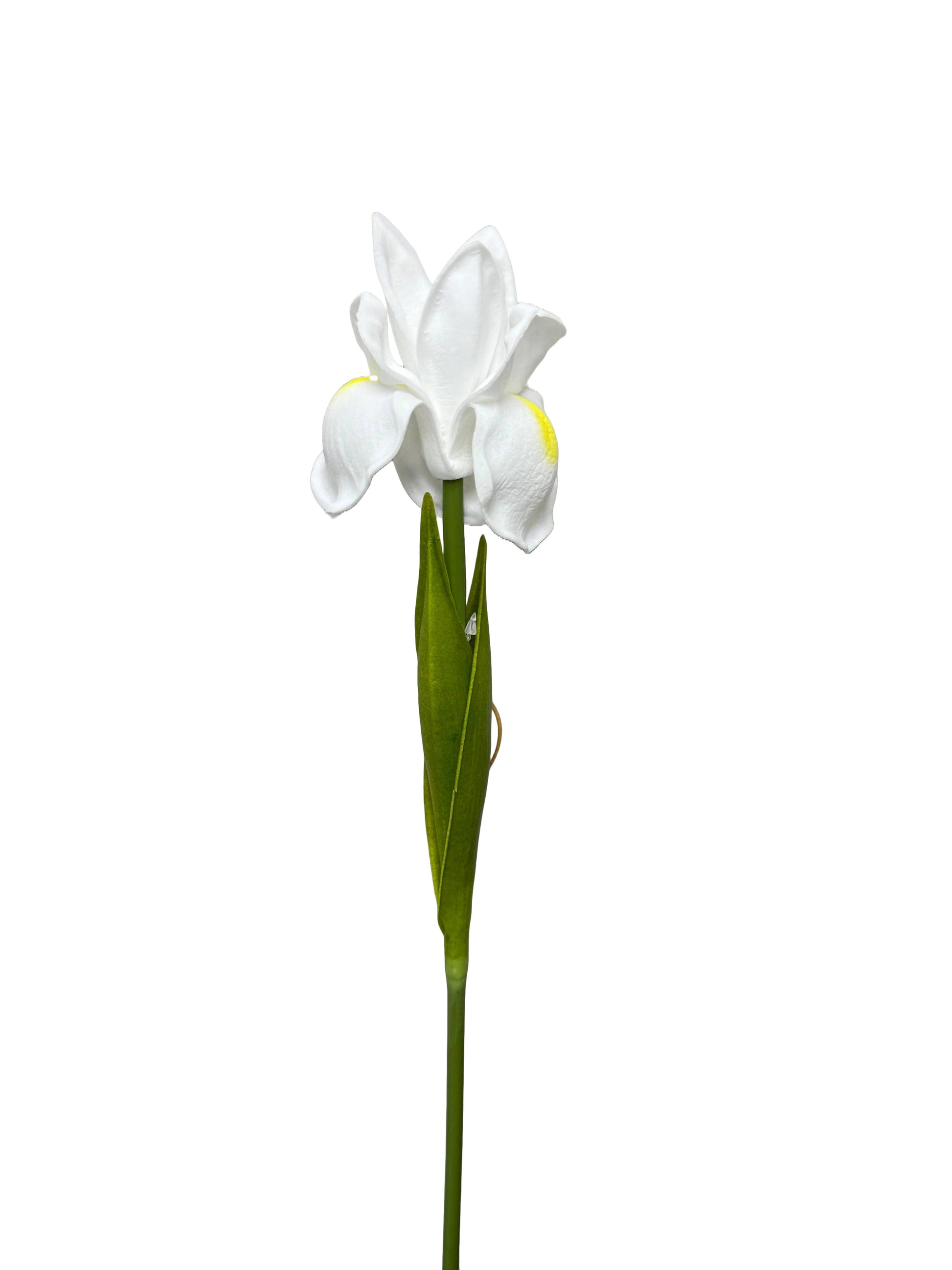 18"-Ultra Soft Real Touch Bearded Iris Stem