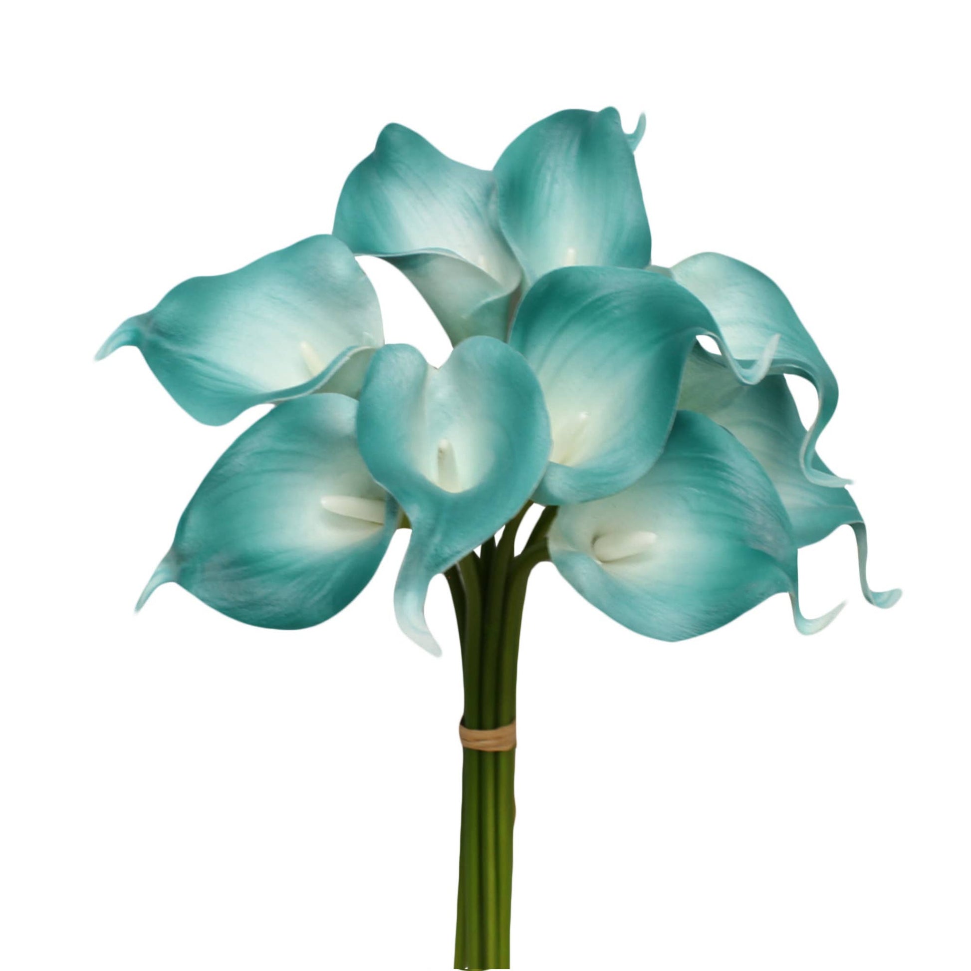 pack of 10-real touch calla lily green color palette