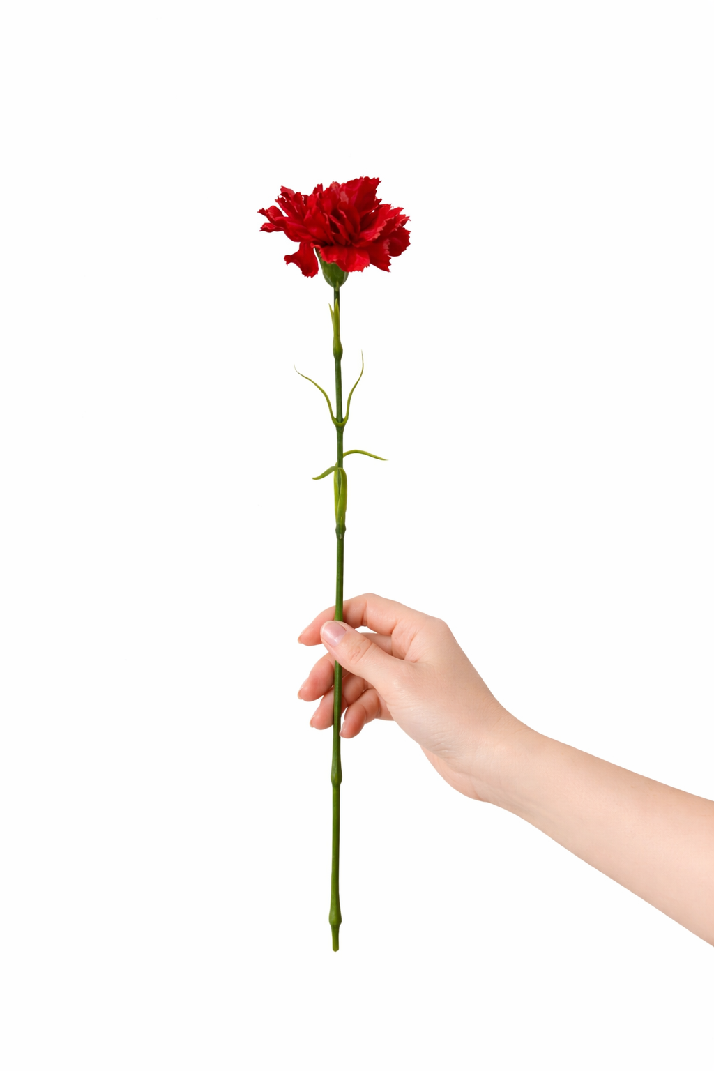 19.5"-Real Touch Needle Petal Modern Look Carnation