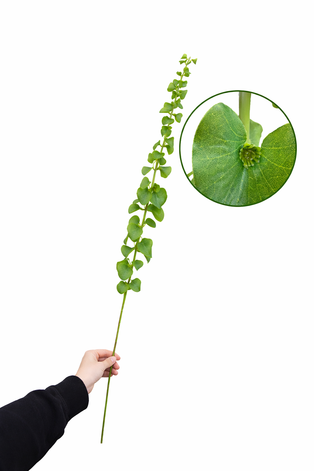 36"Faux Greenery Stem-Smooth Dry Plastic Film leaf