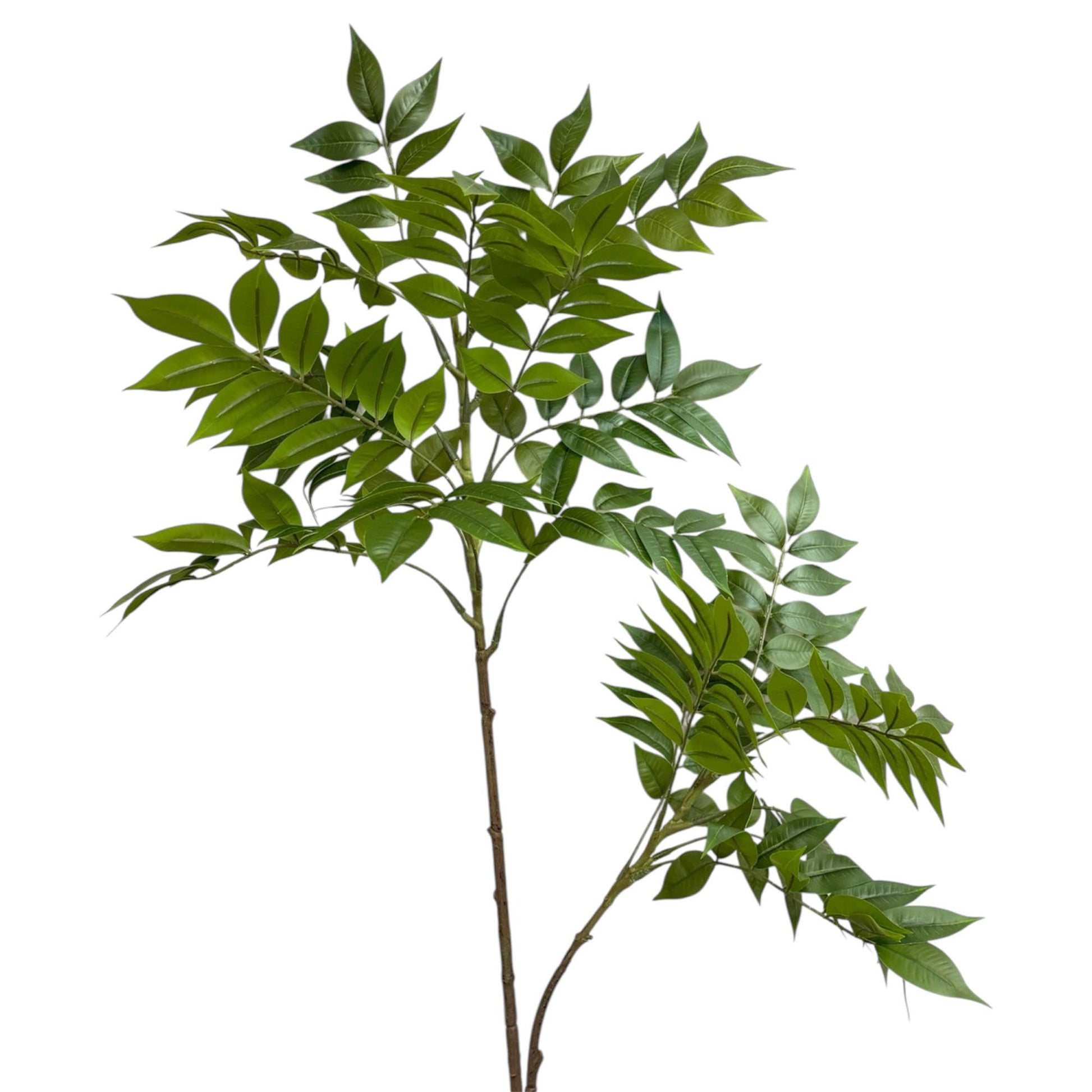 Luxe Wisteria Foliage Branch — 43” Designer Greenery Stem