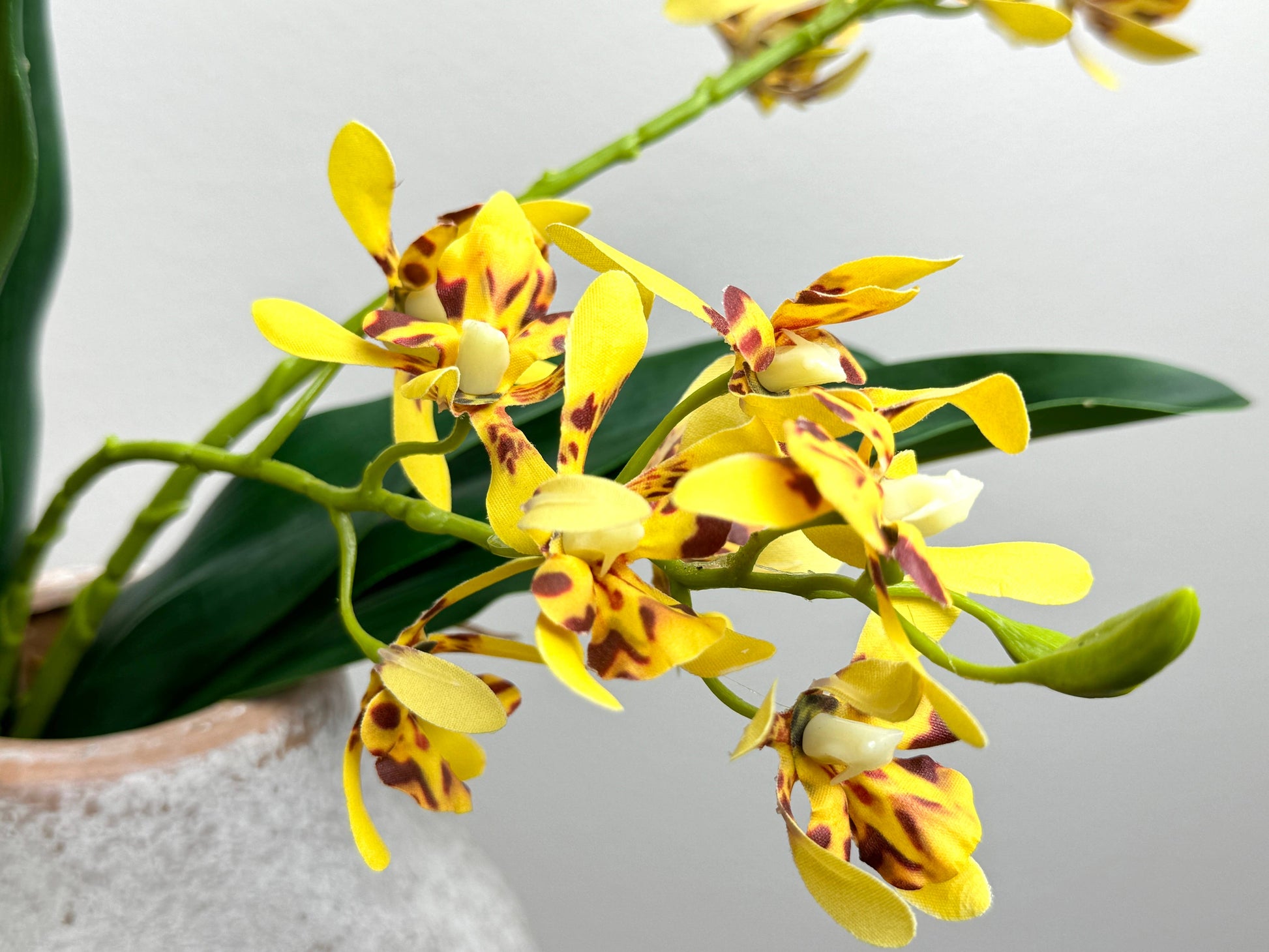 17"Artificial Arachnis Orchid Real Touch Leaves