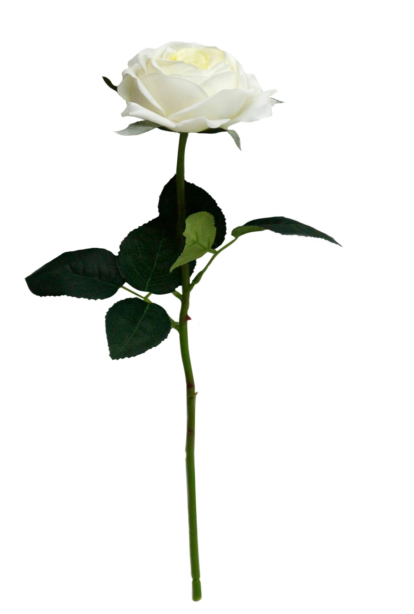 17"-Ultra Realist Real touch Cabbage Rose-Artificial 