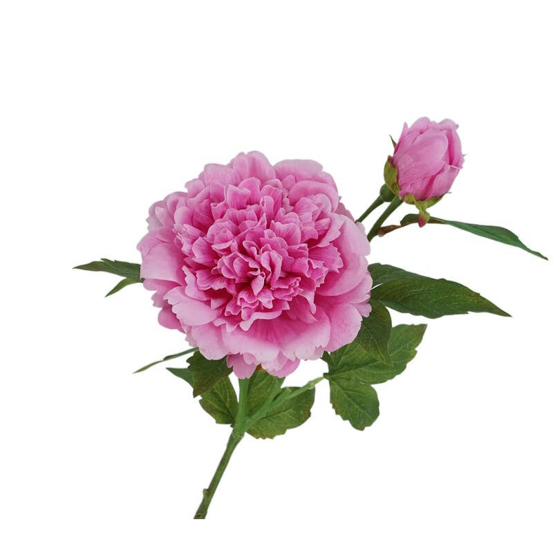 25.5"- Real Touch Peony Stem-2 Blooms