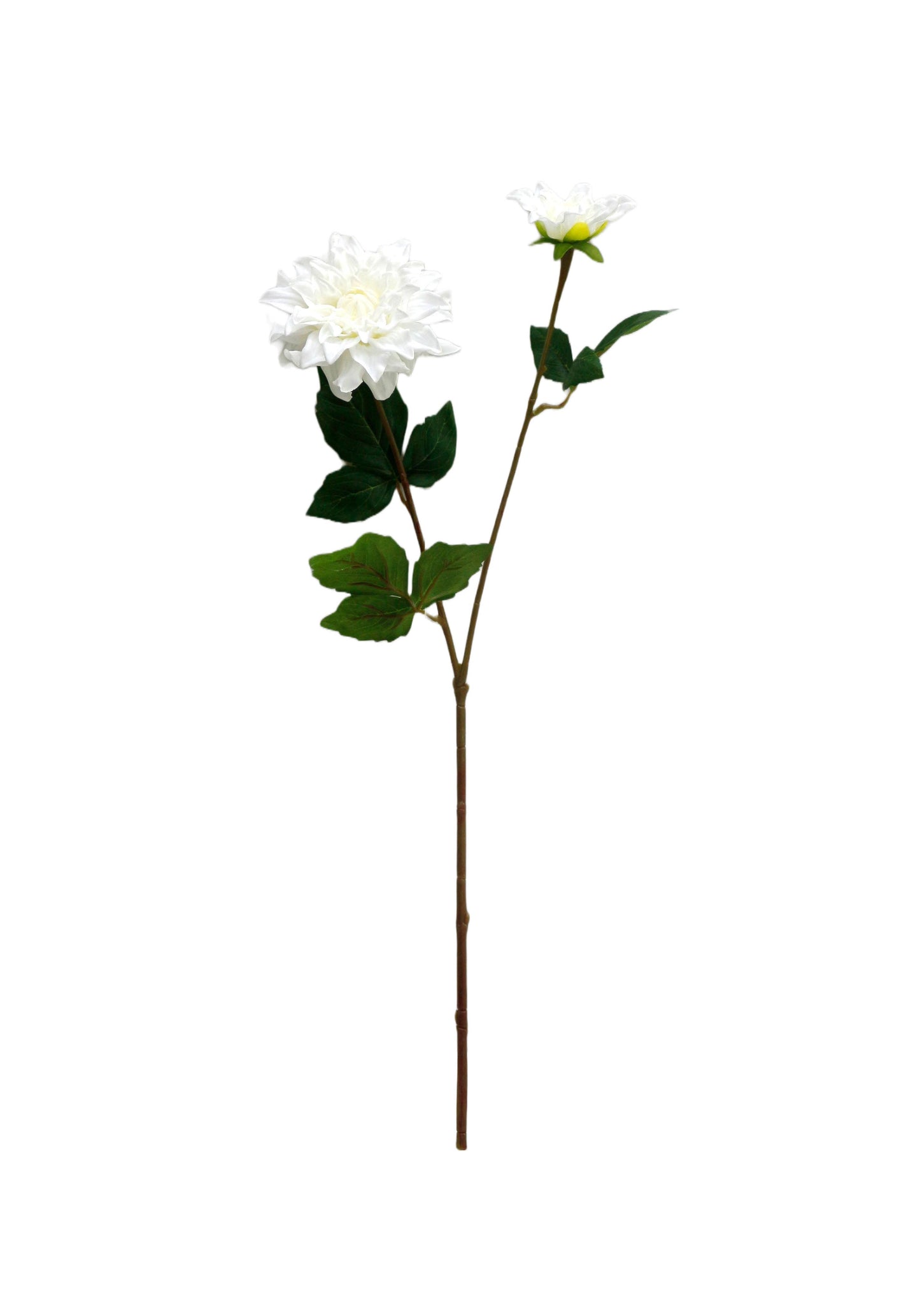 24" Lifelike Real Touch Dahlia -2 flowers