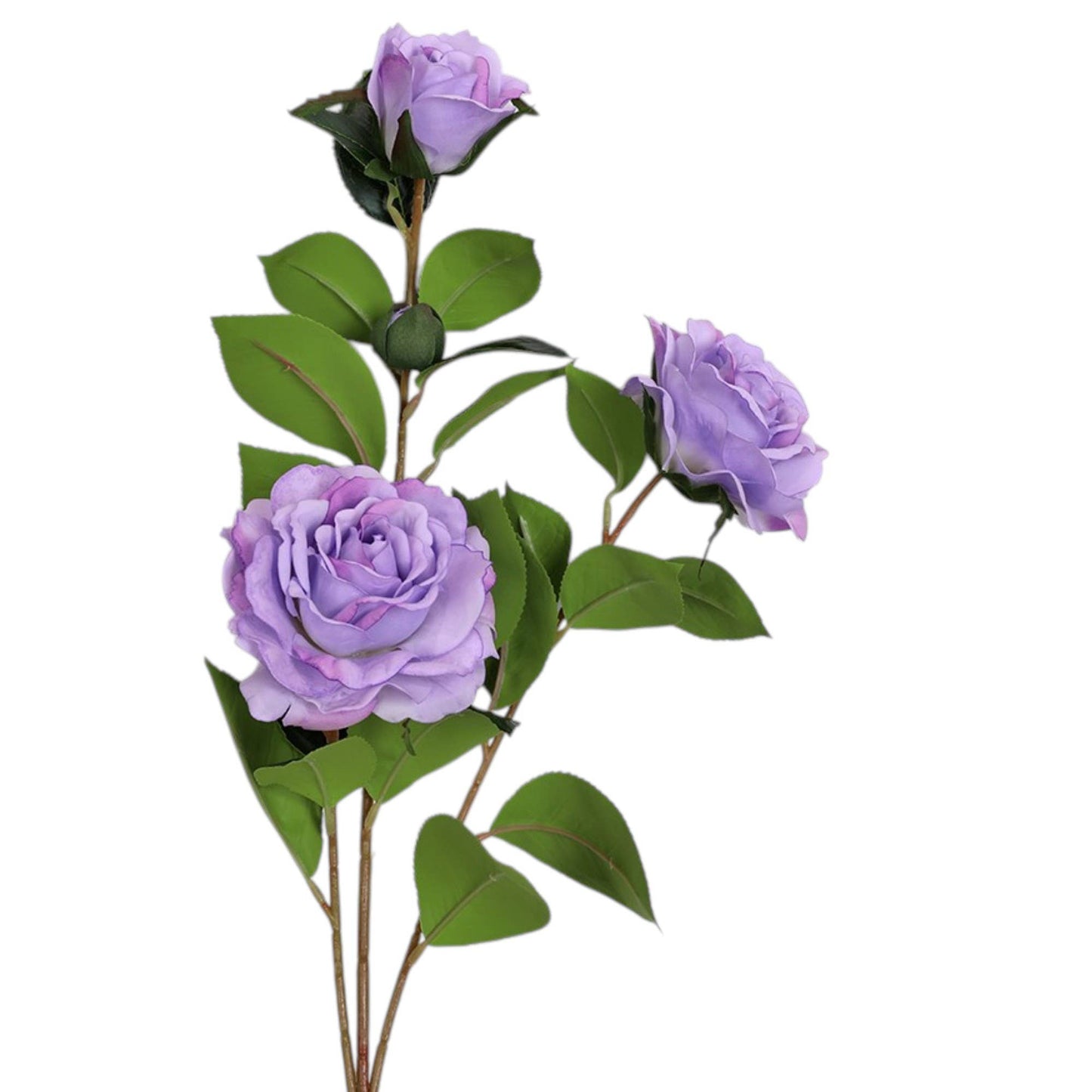 31.5"Real Touch Moisturized Coating Camellia-4 blooms