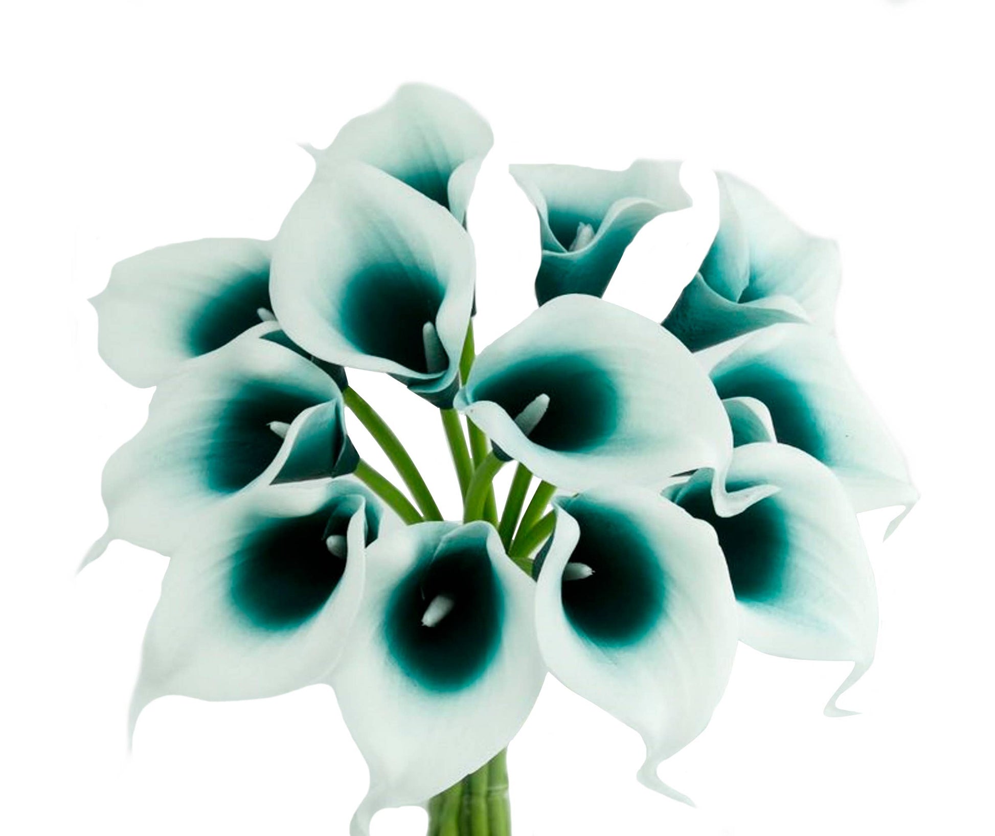 pack of 10-real touch calla lily green color palette