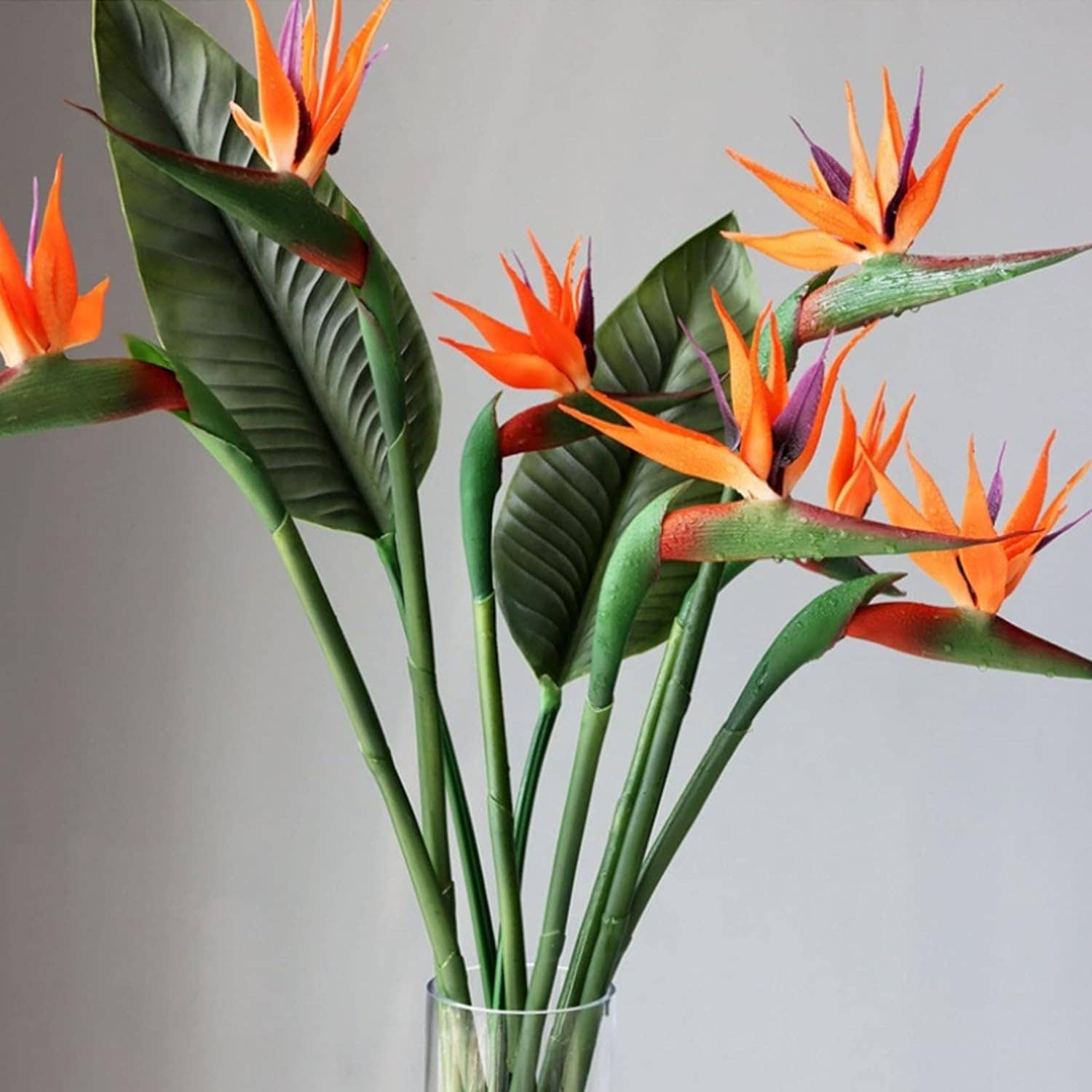 32"Large Realistic Real Touch Bird of Paradise Flower