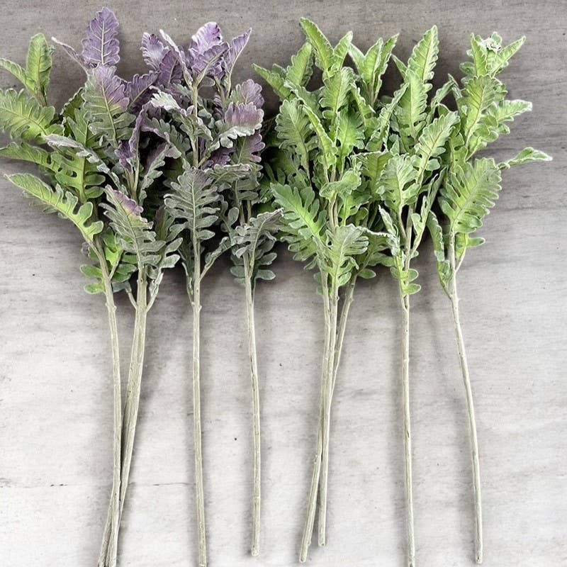 30.5"-Premium-quality Frosted Dusty Miller Spray-14 leaves