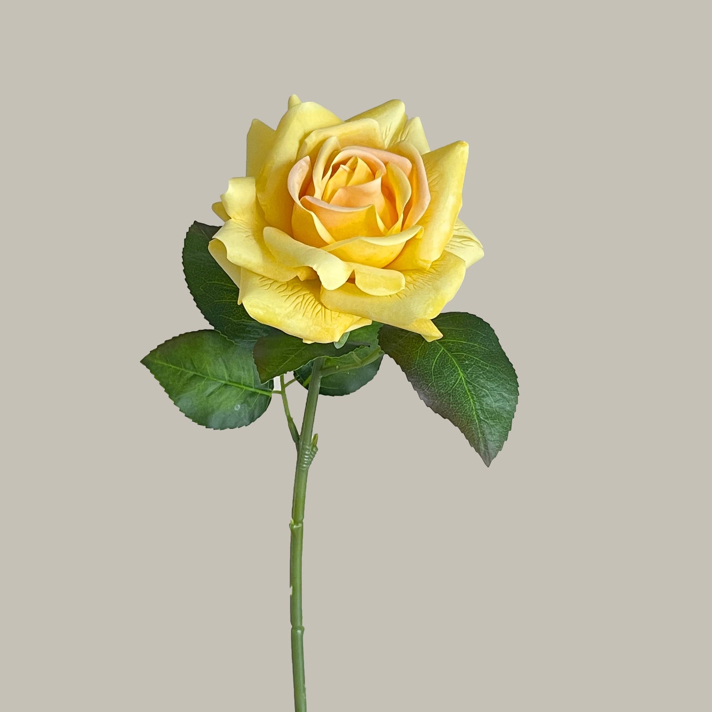 17"Moisturized coating Real Touch Rose