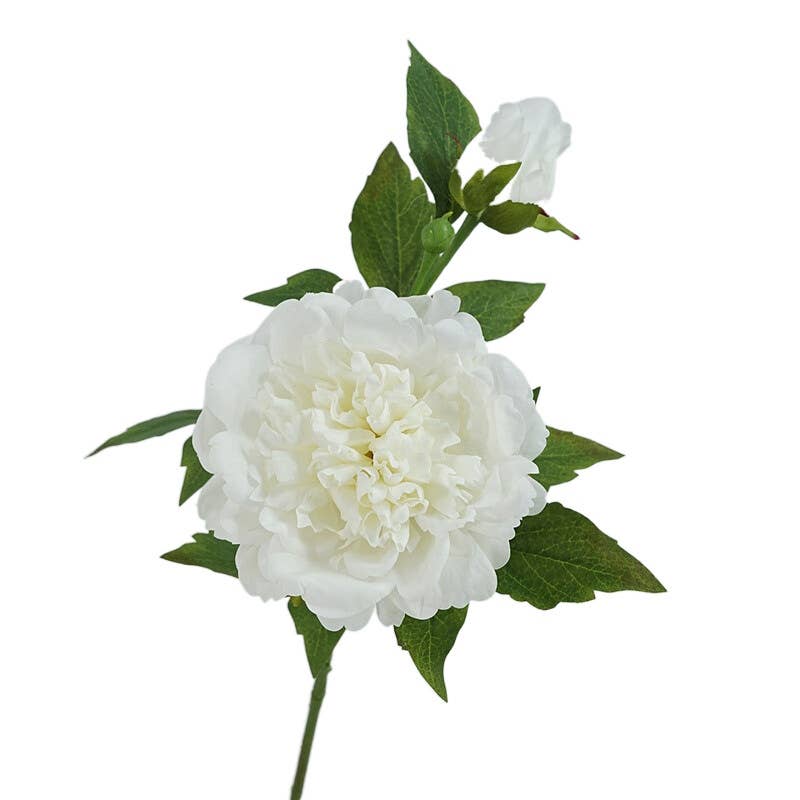 25.5"- Real Touch Peony Stem-2 Blooms
