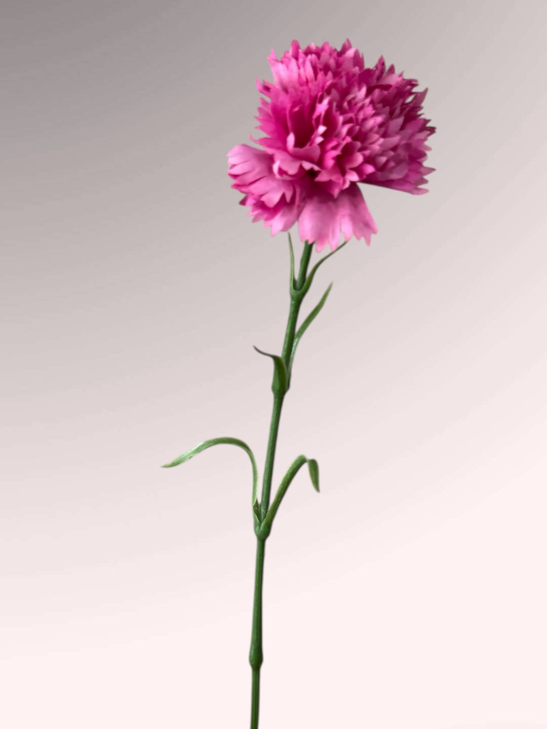 19.5"-Real Touch Needle Petal Modern Look Carnation