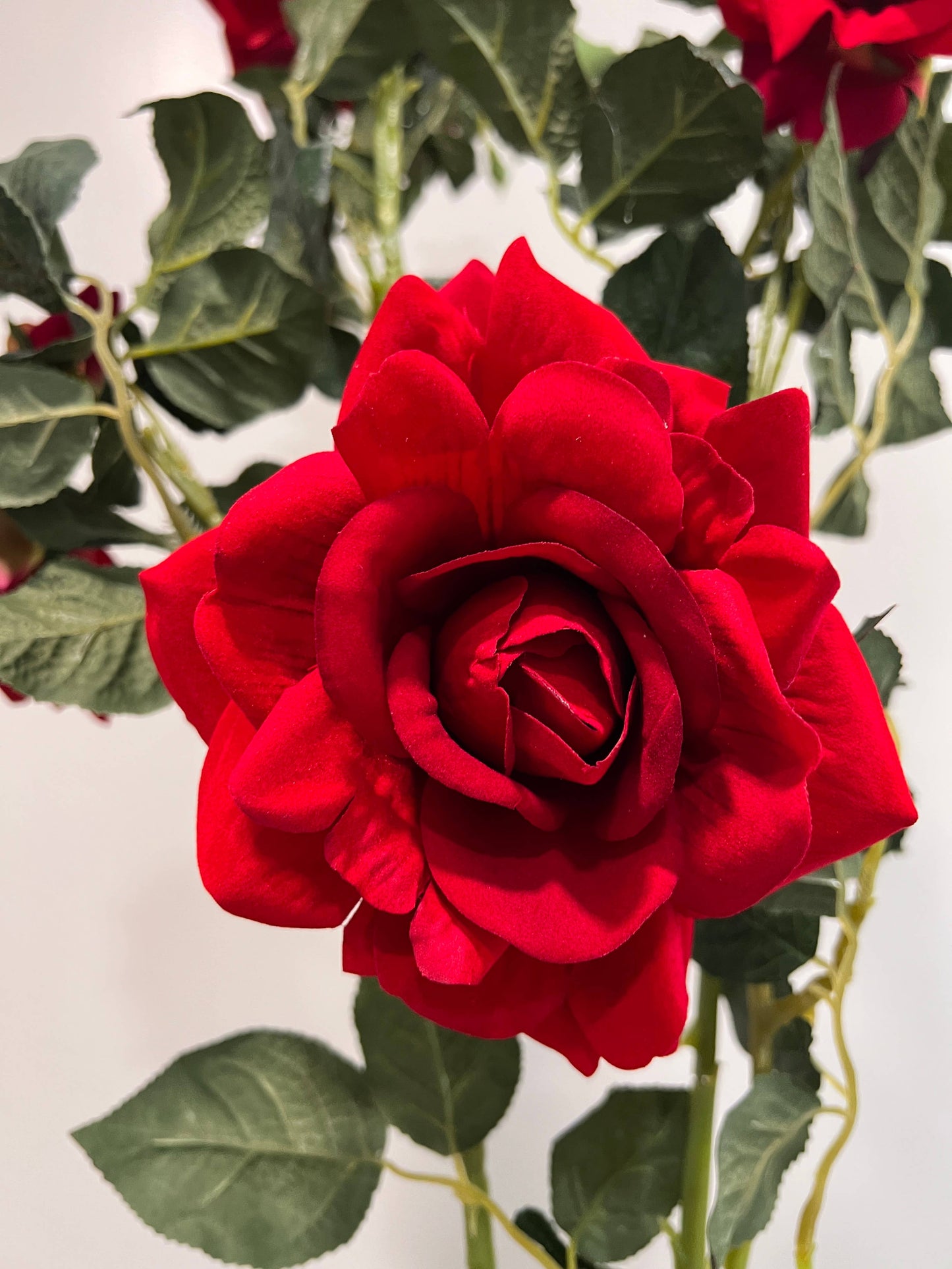 32"-Large Bloom Artificial Silk Rose Stem-2 Flowers 1 Bud