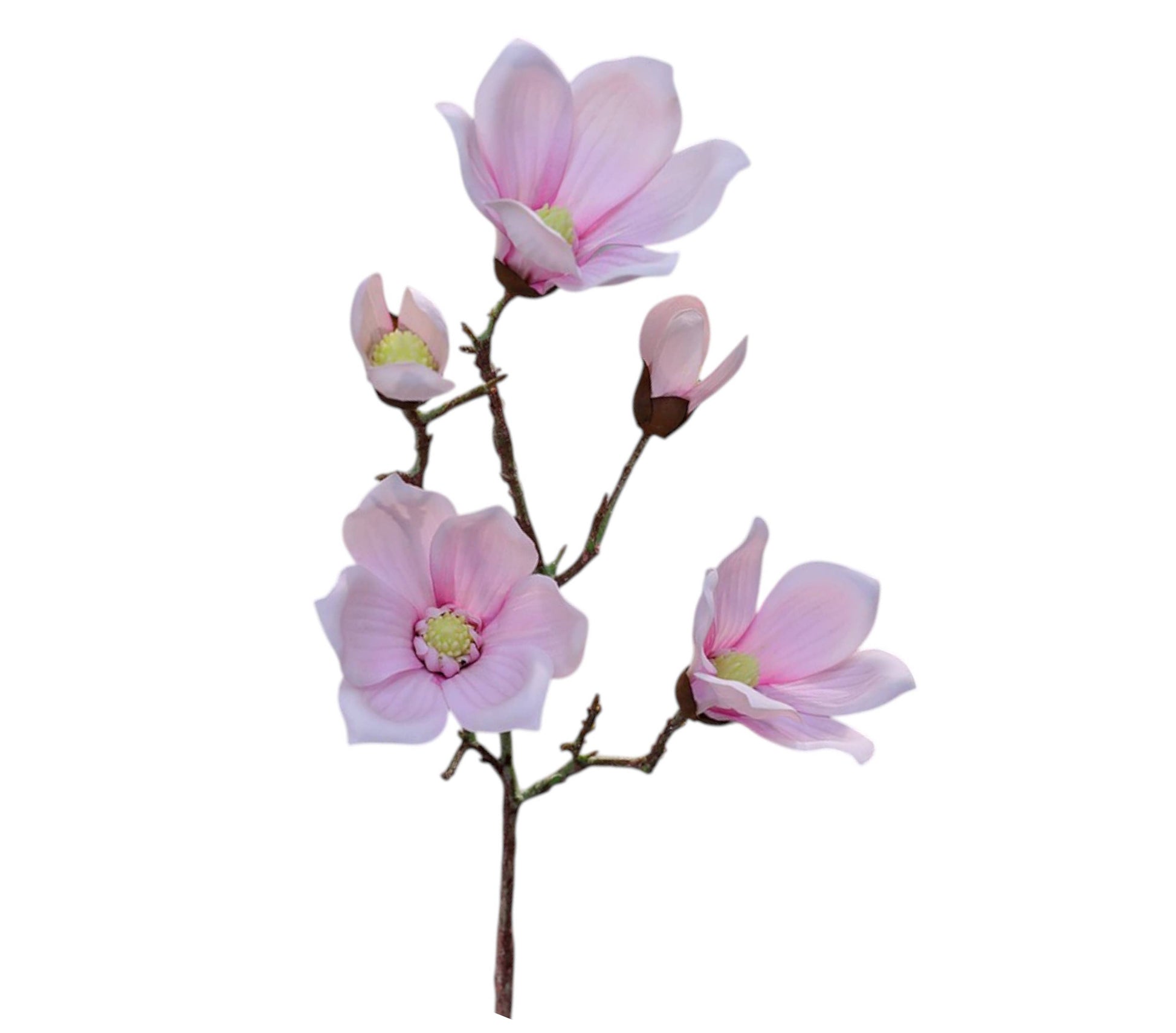 28.5"-Premium 5-bloom Faux Magnolia-Moisturizing Coating