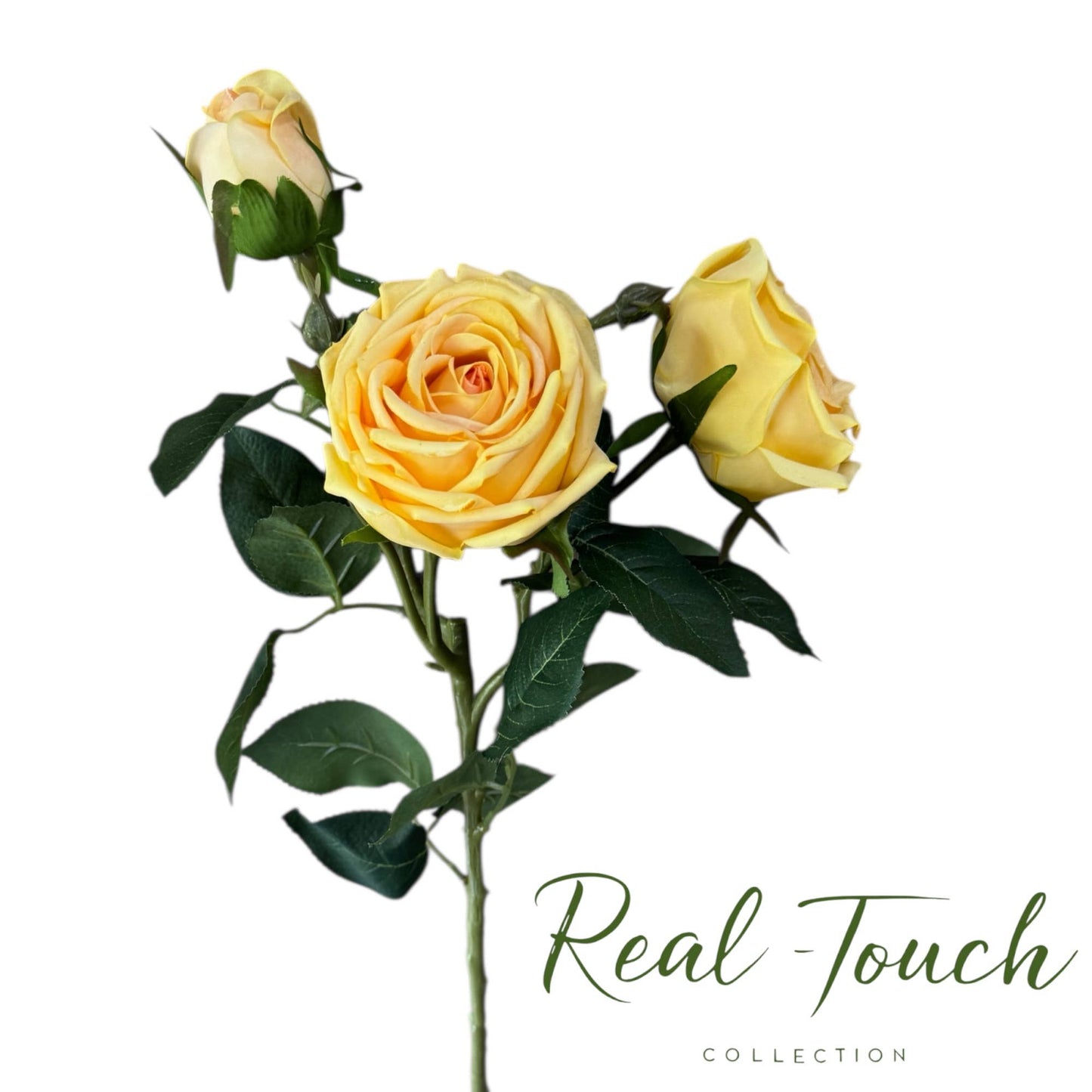 28.75"-Long Lush Elegant large bloom Real Touch Cabbage Rose