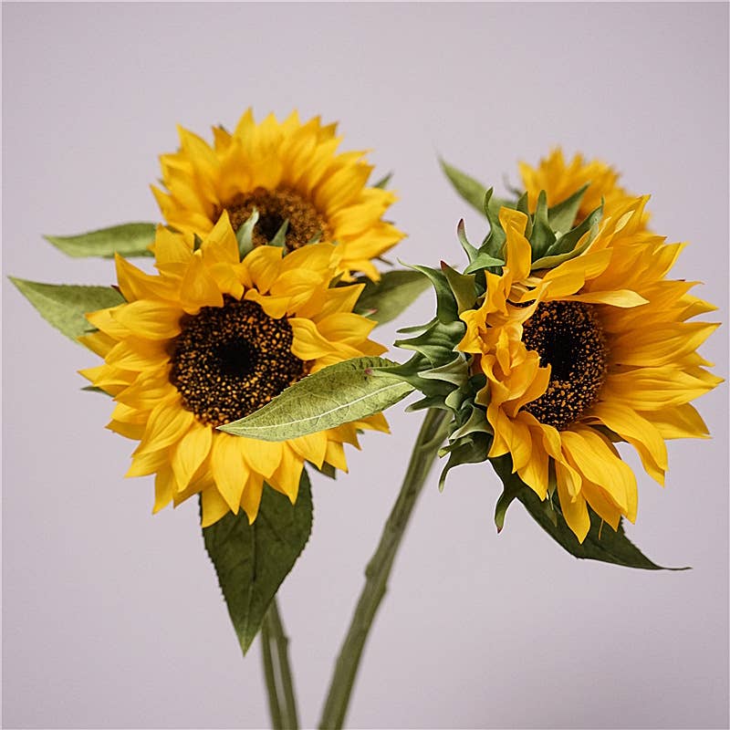 27.5"-Lux Collection-Moisturized Real Touch Sunflower Stem