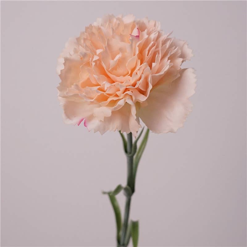 19.5"-Real Touch Needle Petal Modern Look Carnation