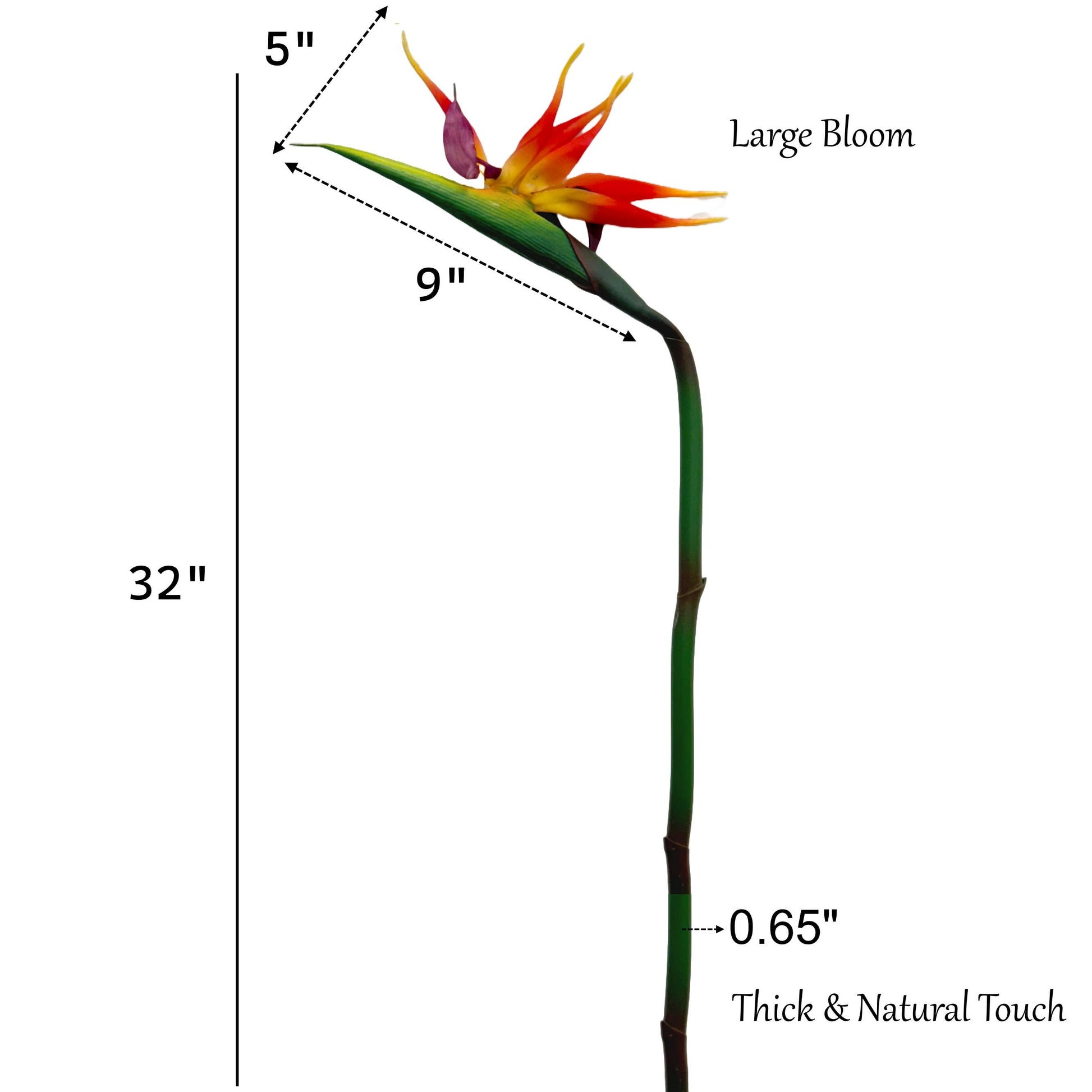 32"Large Realistic Real Touch Bird of Paradise Flower