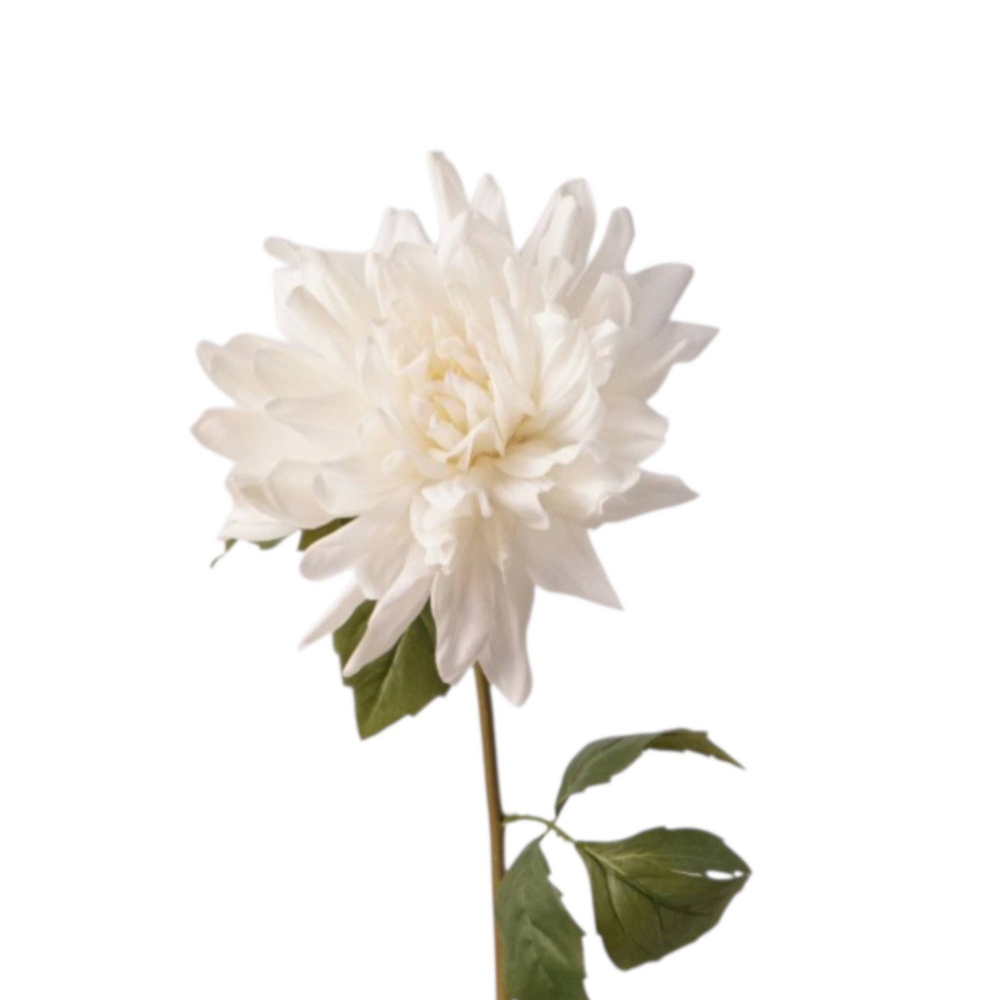 24" Designer's Pick-Real Touch Dahlia-Moisturized Coating
