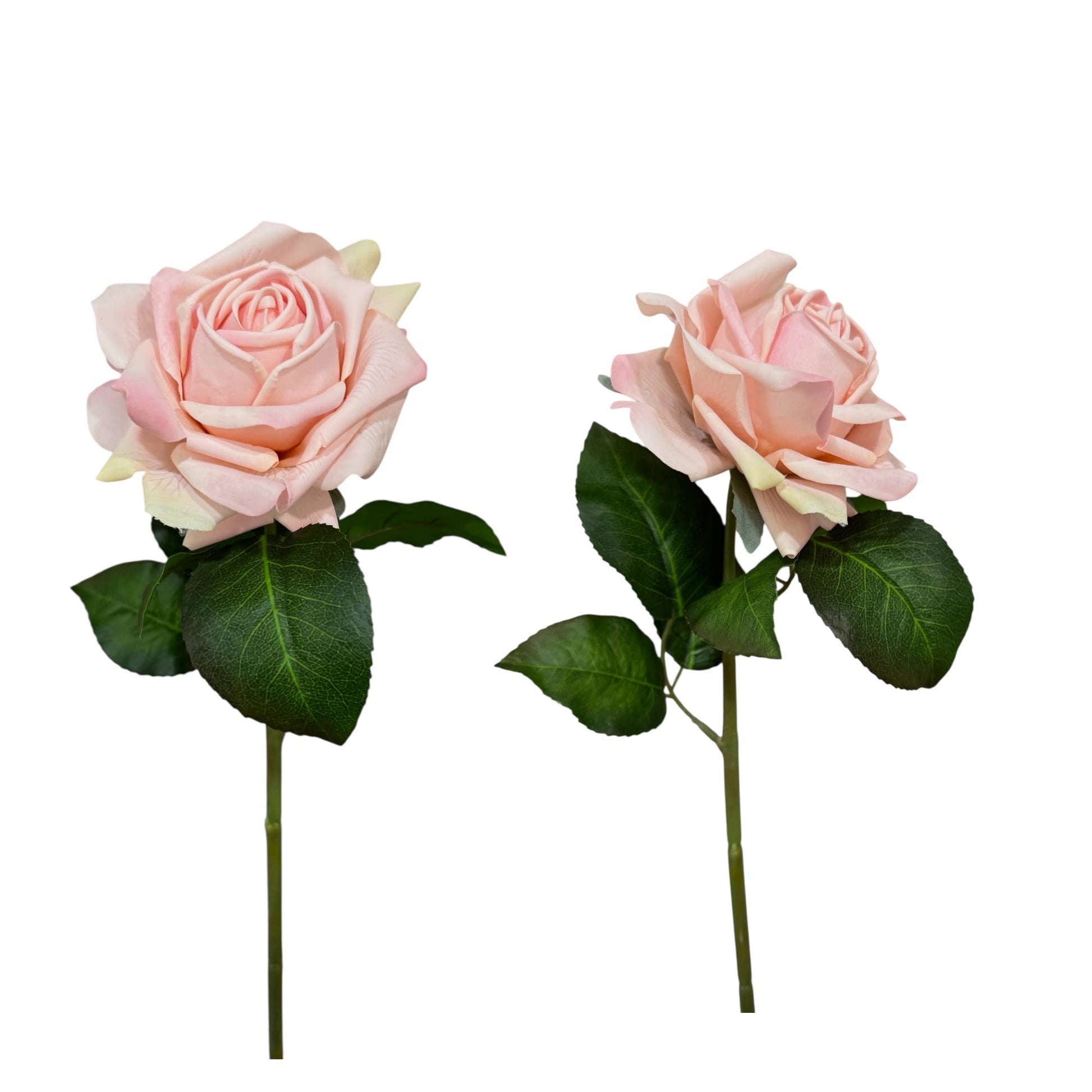 19"-Premium Moisturizing Coating Real Touch Rose