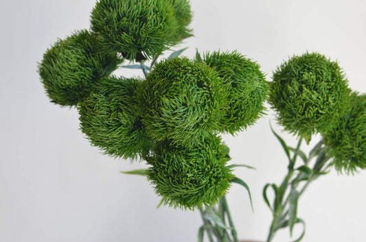 21.5" Realistic Faux Dianthus Green Ball Fresh Green stem