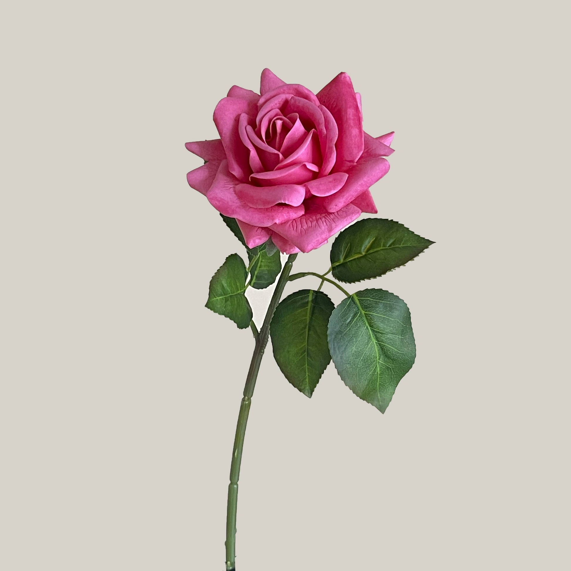 17"Moisturized coating Real Touch Rose