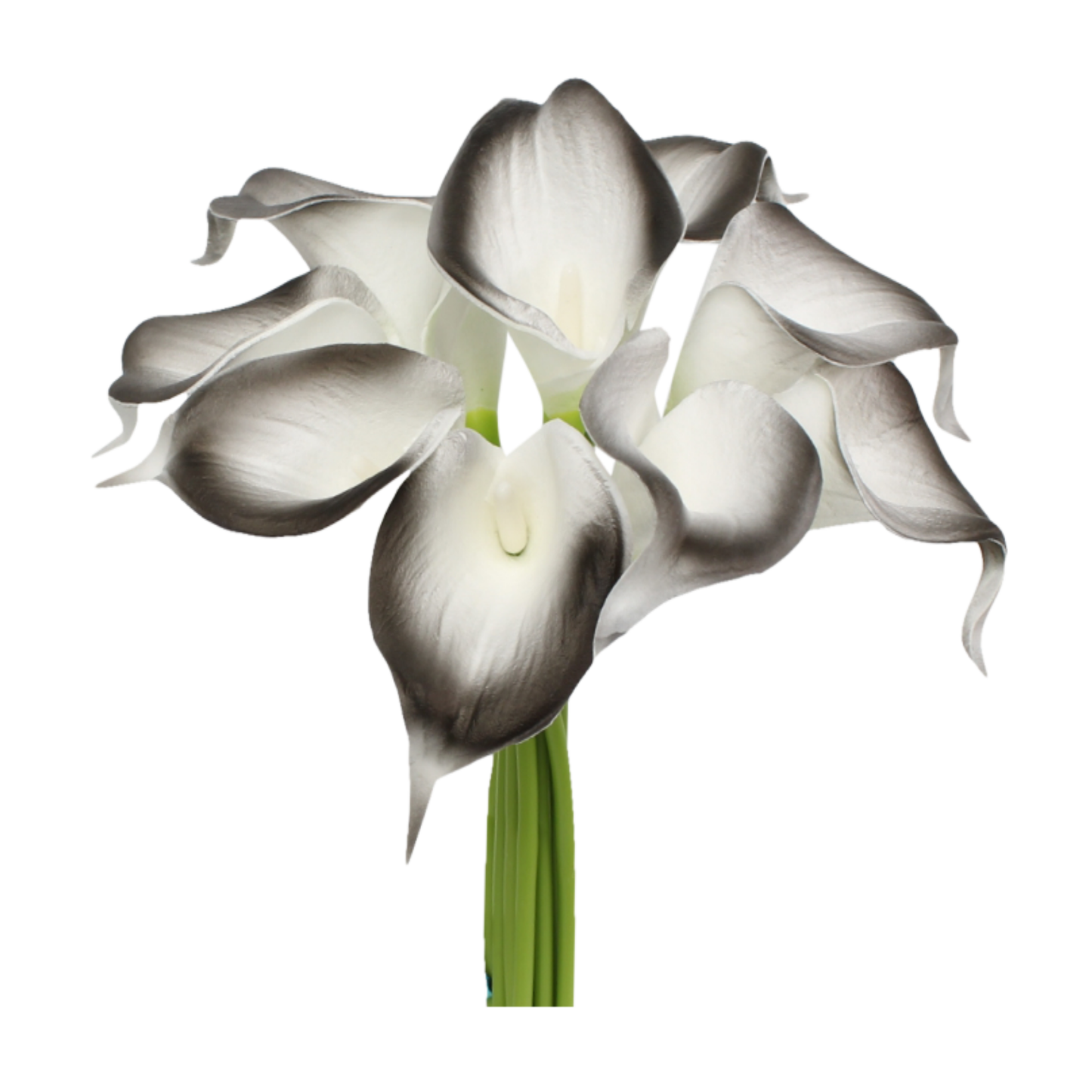 Pack of 10-Real Touch Calla lily-Silver Black color palette