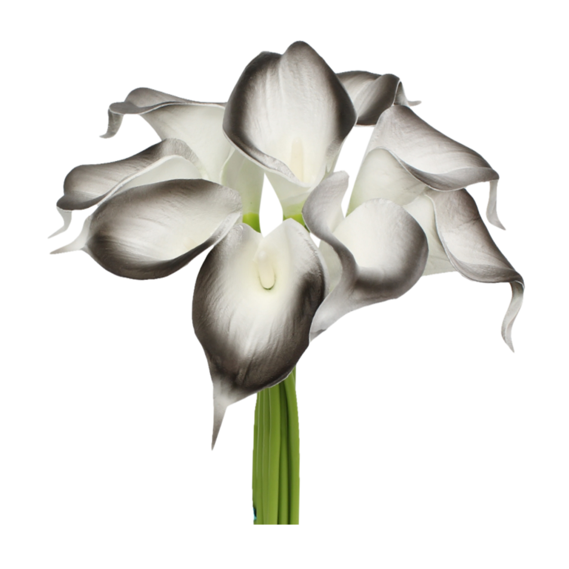 Pack of 10-Real Touch Calla lily-Silver Black color palette