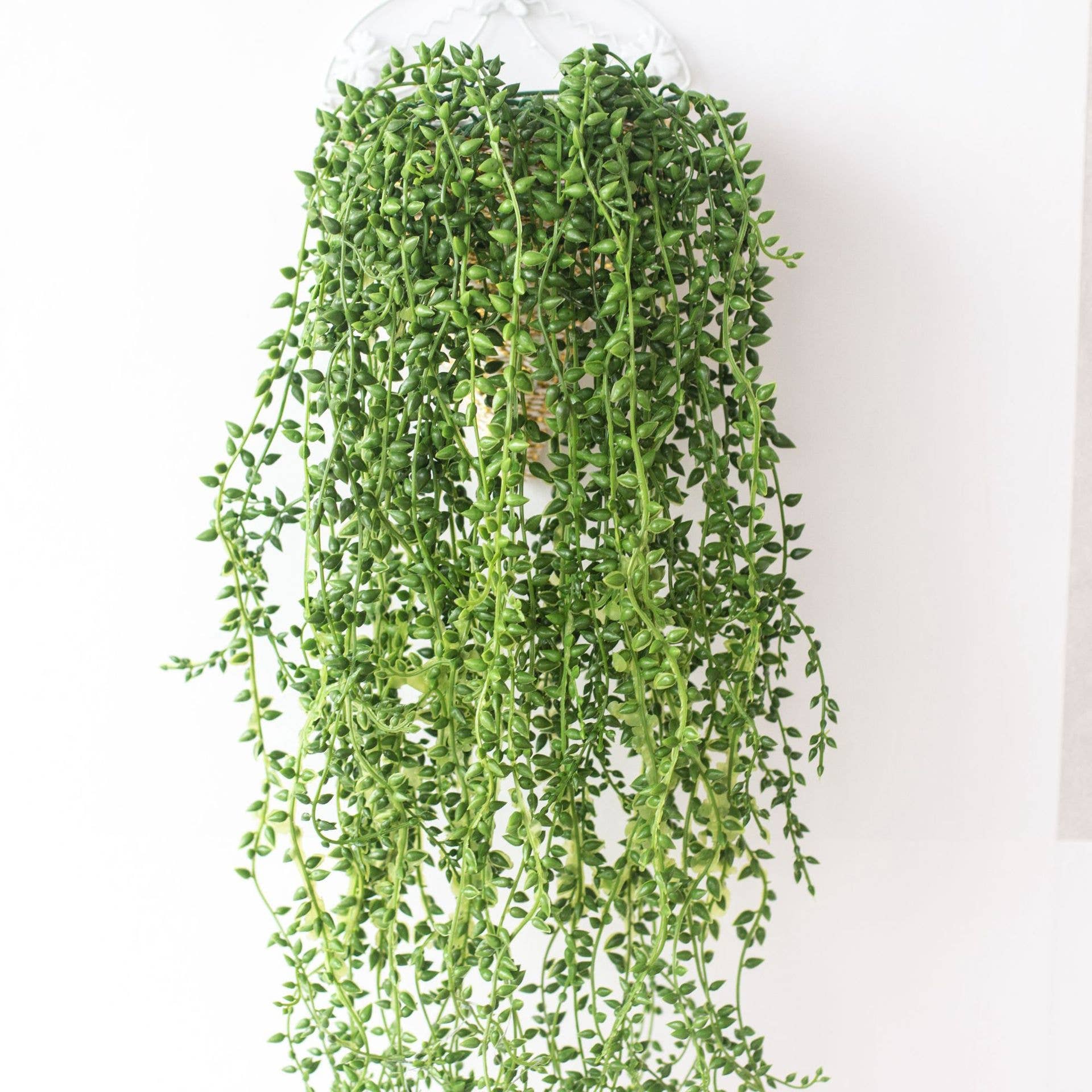 29" Artificial Hanging String of Pearl Succulent Garland