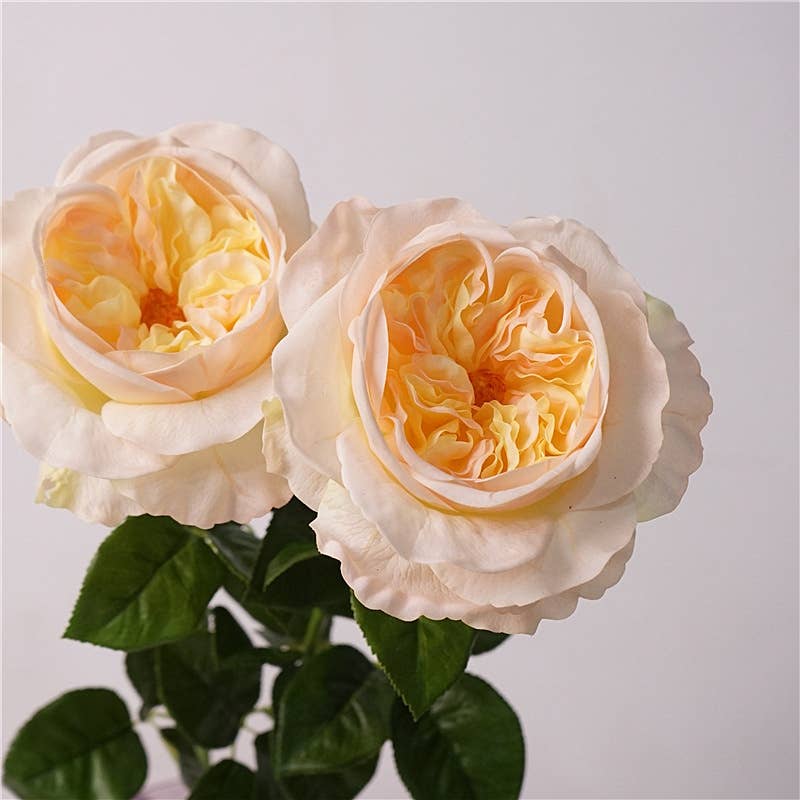 27"Lux Juliet Garden Rose-Moisture-touch coating(6"Bloom)