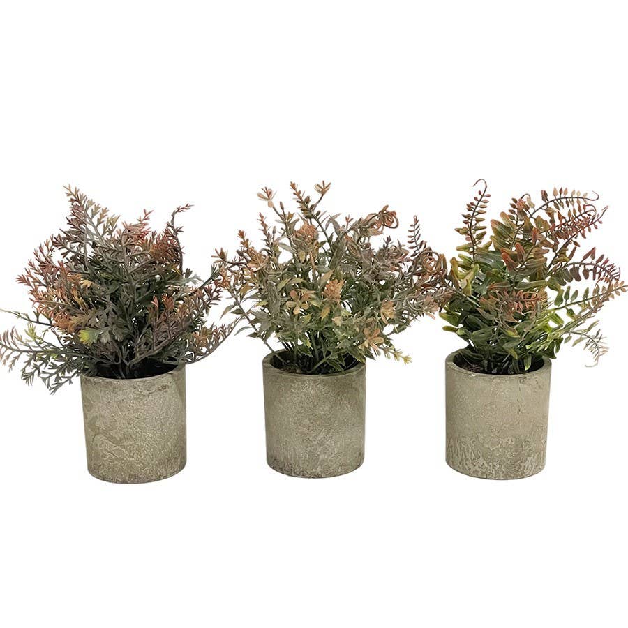 Set of 3-8"Tall Rustic Artificial Plants