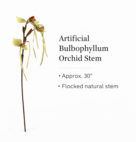 Artificial Soft Touch Bulbophyllum Orchid Stem–Flocked