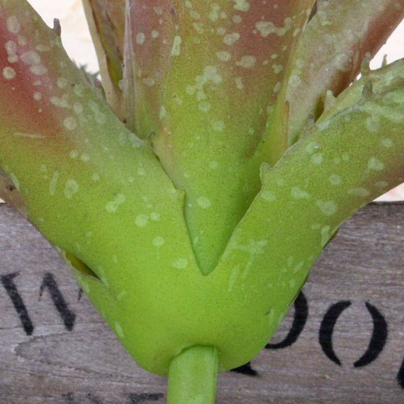 High-end-Ultra realist Real Touch Succulents Aloe-10"