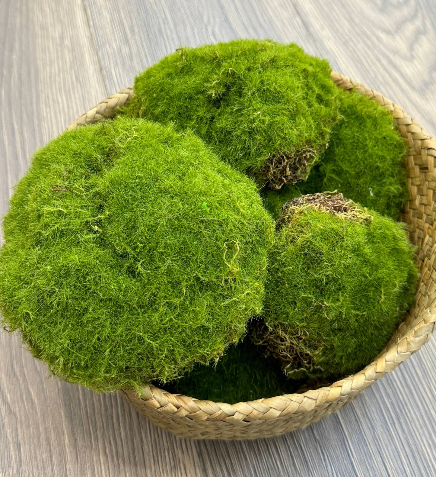 Pack of 6-Large Lifelike Mixed Sizes Artificial Moss pad
