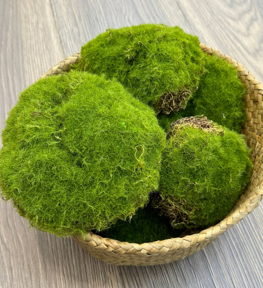 Pack of 6-Large Lifelike Mixed Sizes Artificial Moss pad