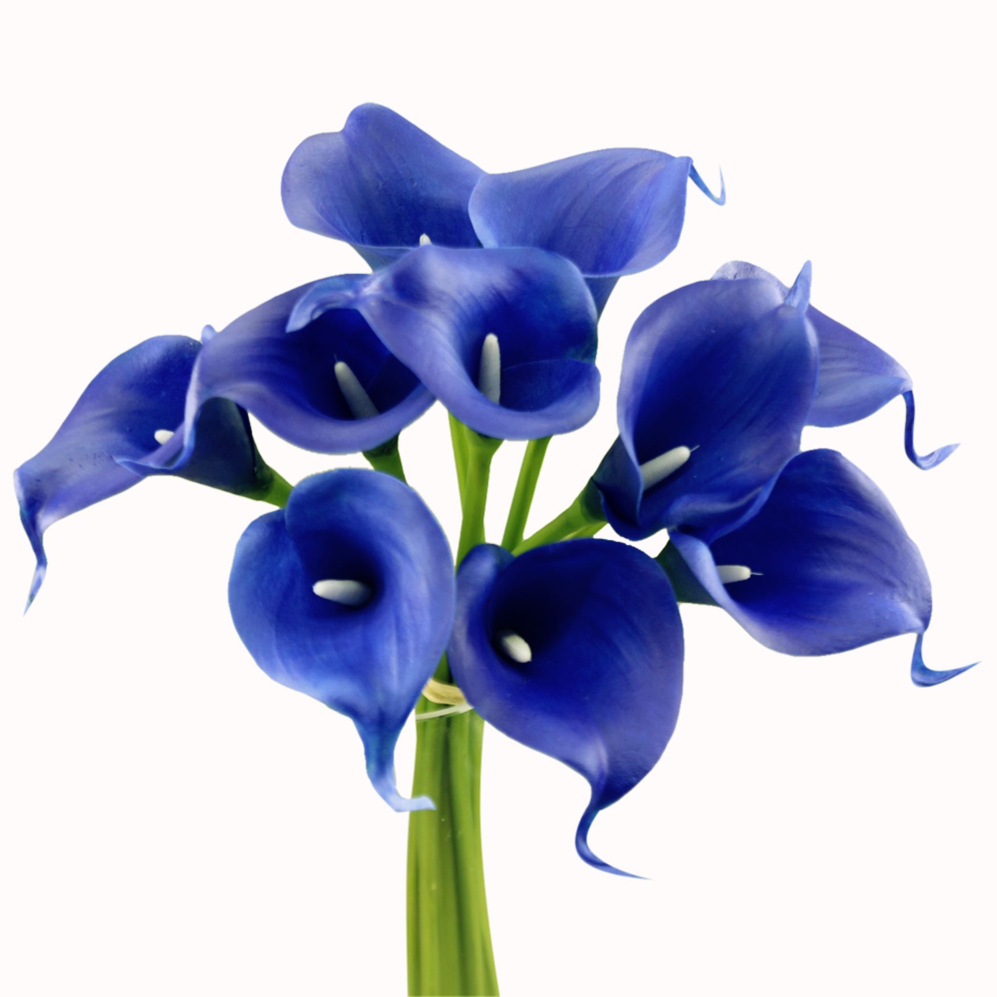 Pack of 10-Lifelike Real Touch Calla lily-Blue Collection