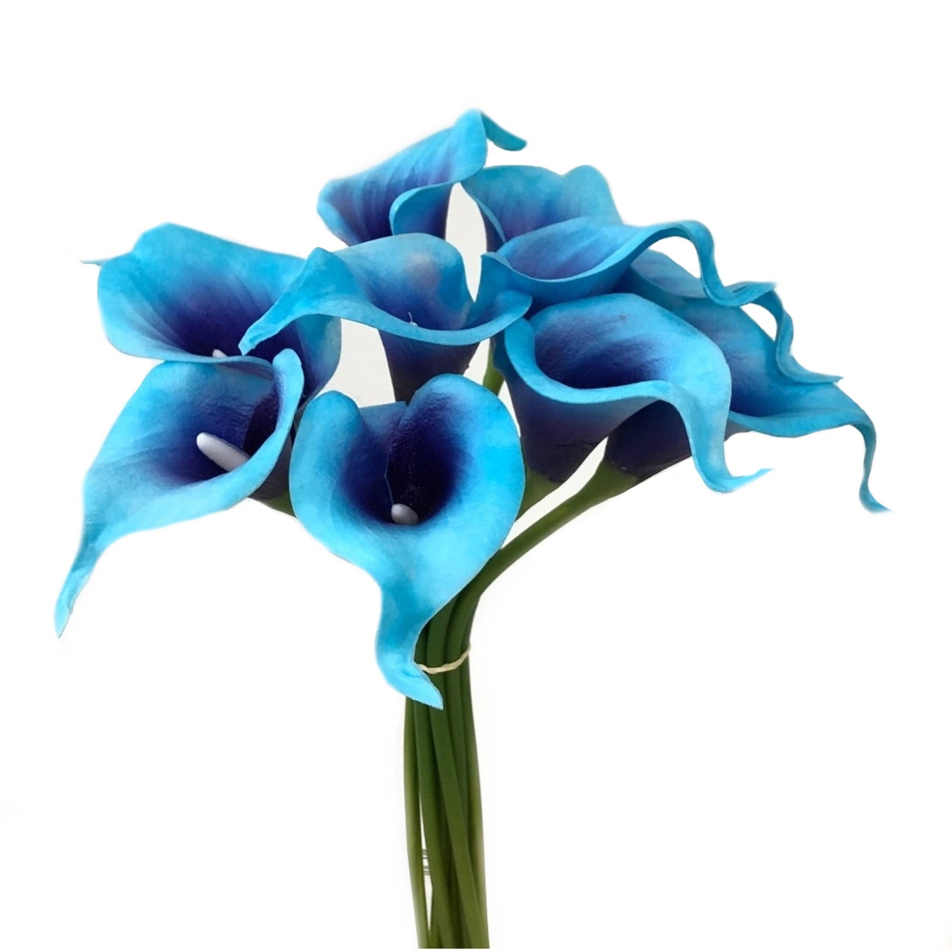 Pack of 10-Real Touch Calla lily-Malibu Turquoise Blue