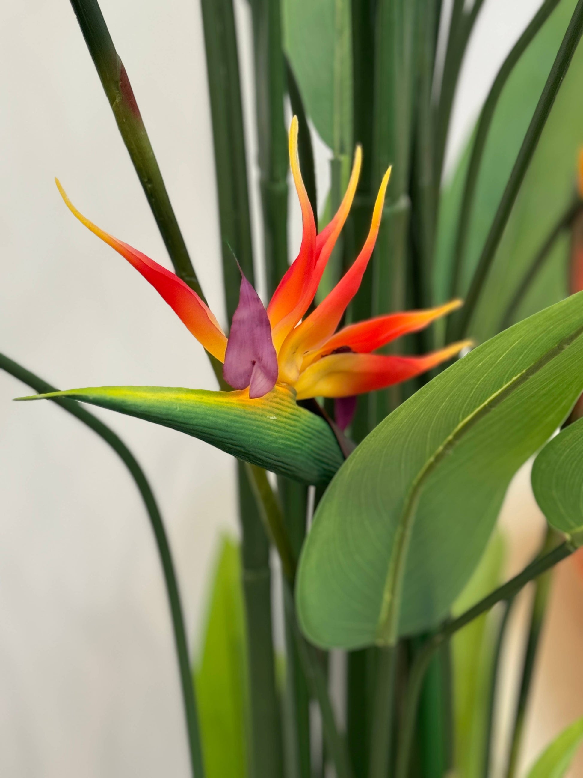 32"Large Realistic Real Touch Bird of Paradise Flower